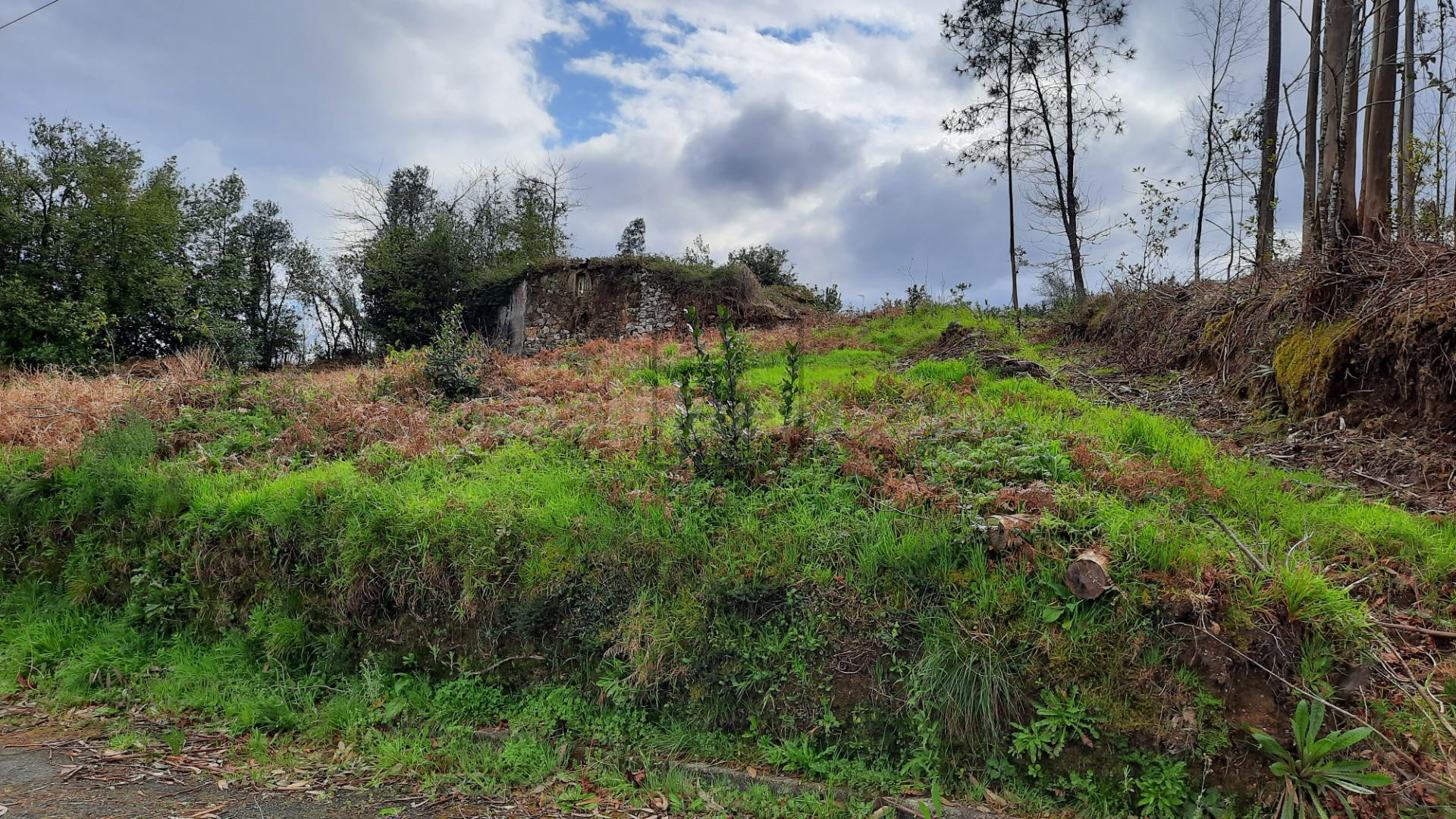 TERRENO URBANIZABLE PARA UNIFAMILAR EN CORNIDE - SAN SADURNIÑO