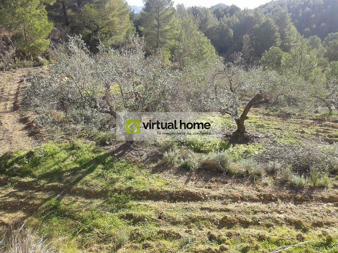 Terreno en venta, Polop.
