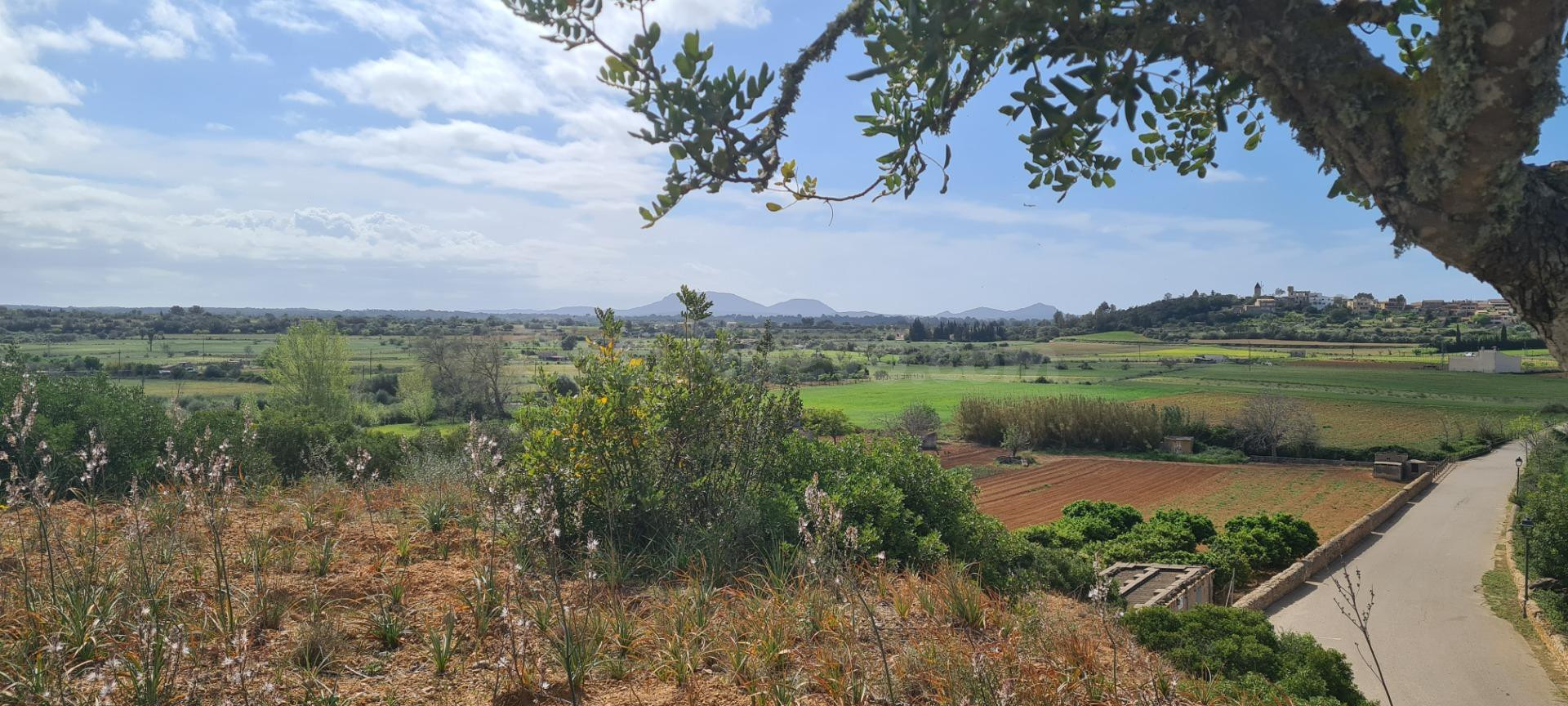 Fantástico suelo urbano en venta,  perfectamente ubicado con preciosas vistas de Santa Eugenia.