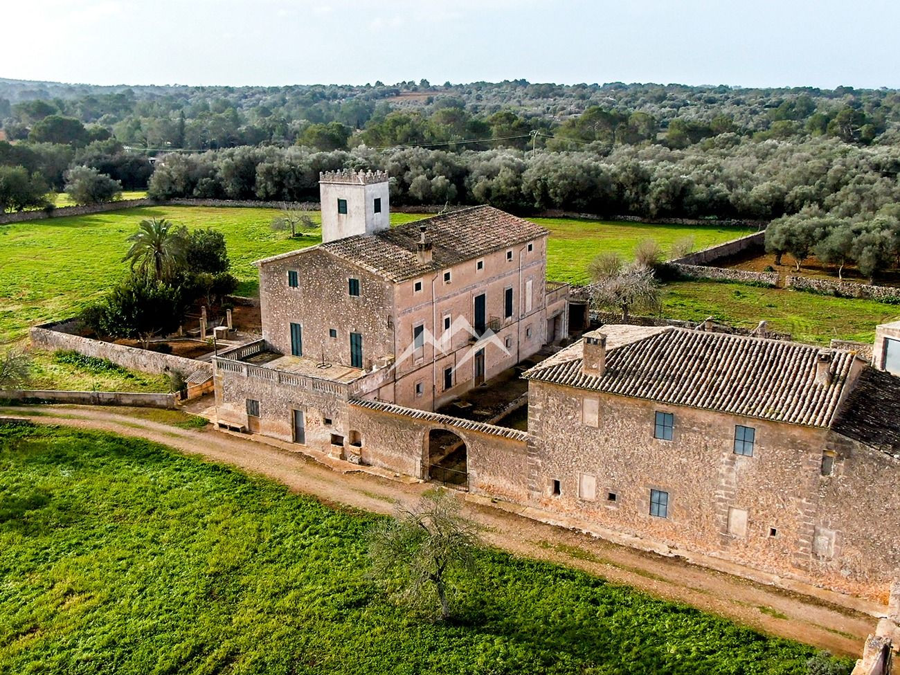 GRAN FINCA RUSTICA DE 97 HECTAREAS EN ALGAIDA