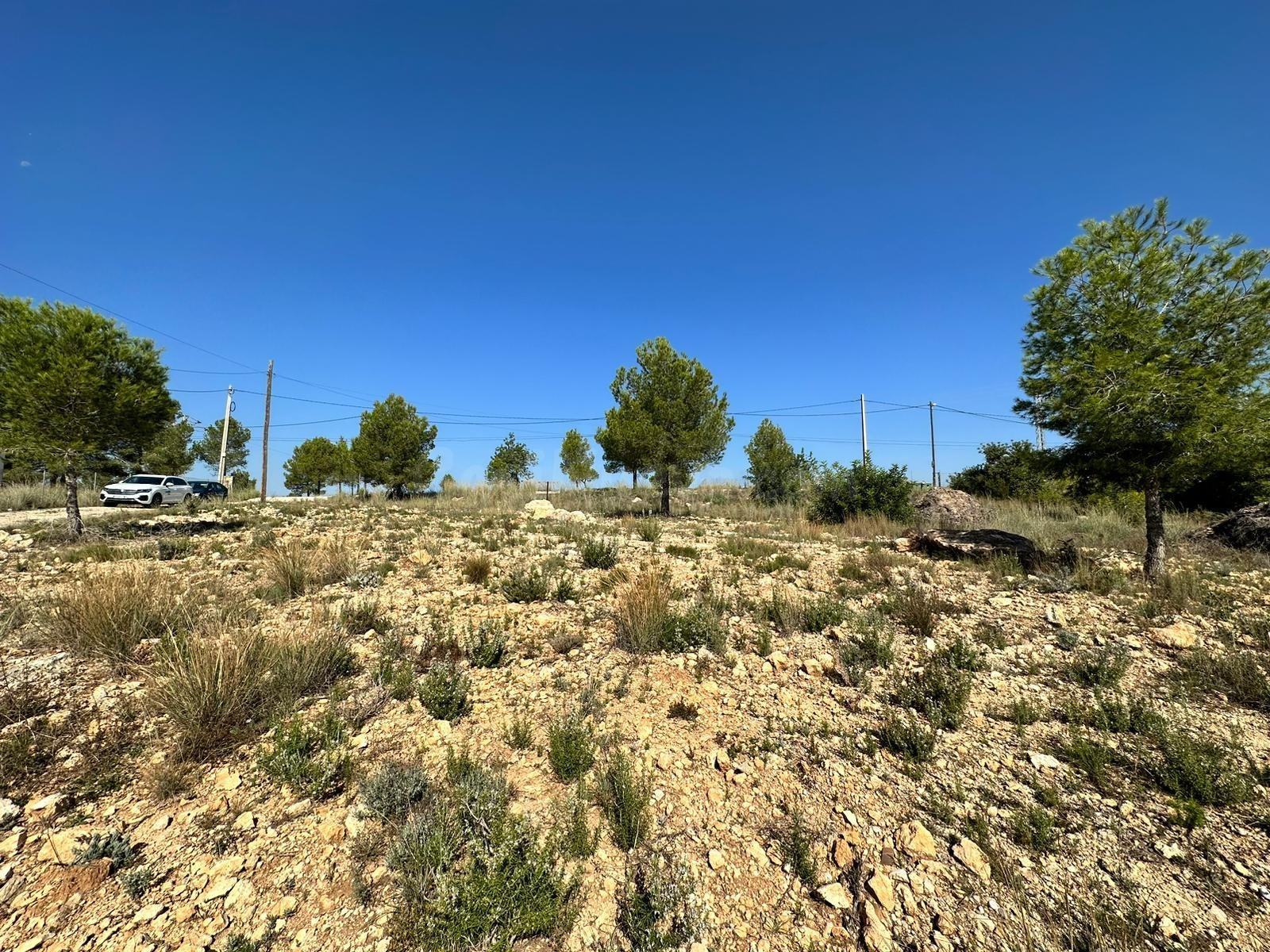 TERRENOS URBANOS EN LLOMA MOLINA