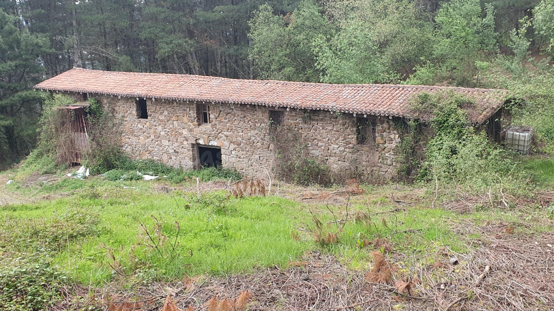 14 Hectáreas de terreno rural con cuadra/pajar de 300 m2. Junto a la carretera
