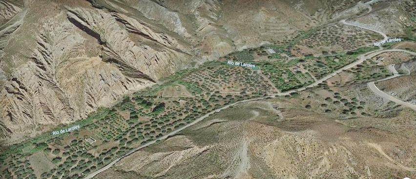 FINCA ESTRATÉGICA EN VENTA – 92 HA | 700 OLIVOS CENTENARIOS | DERECHOS DE AGUA | POTENCIAL FOTOVOLTAICO A 2 KM DE SUBESTACIÓN