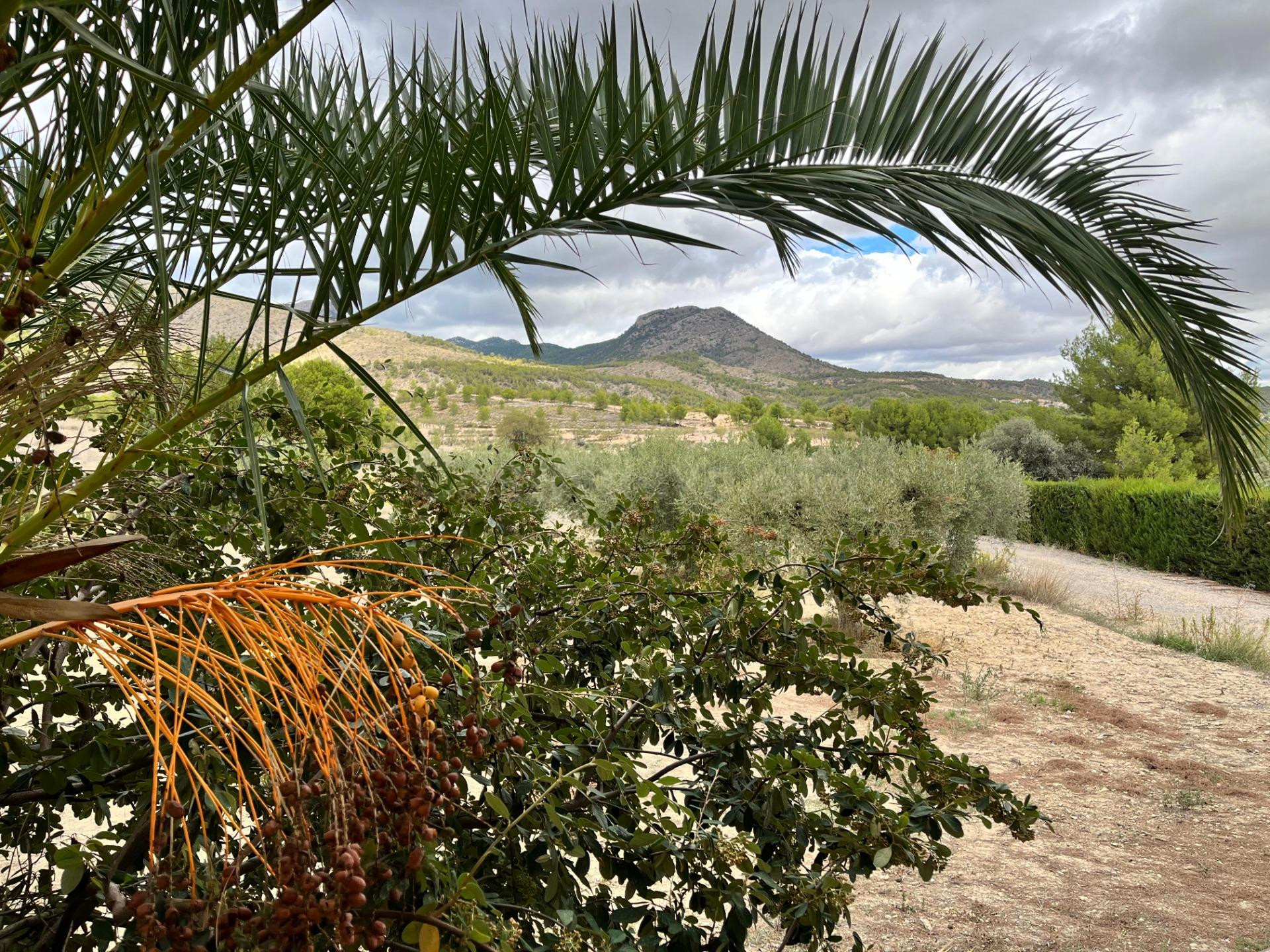 Finca rústica en Caravaca de la Cruz con más de 61.000 m2 en un enclave único