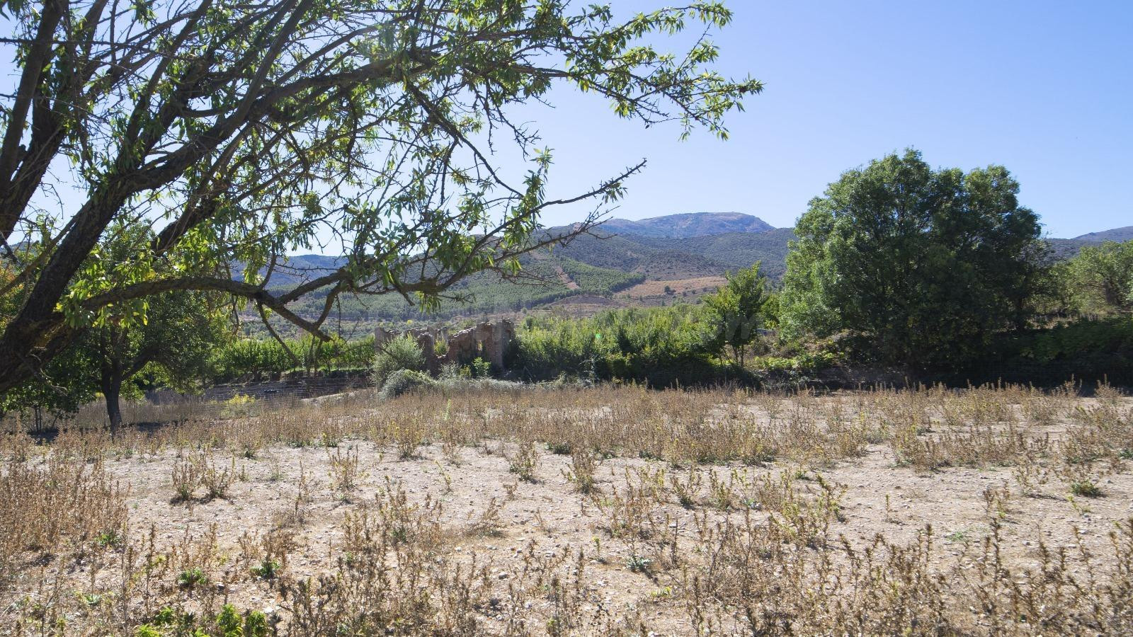 Exclusiva Finca en venta Fondón. ¡Con permiso de construcción de vivienda!