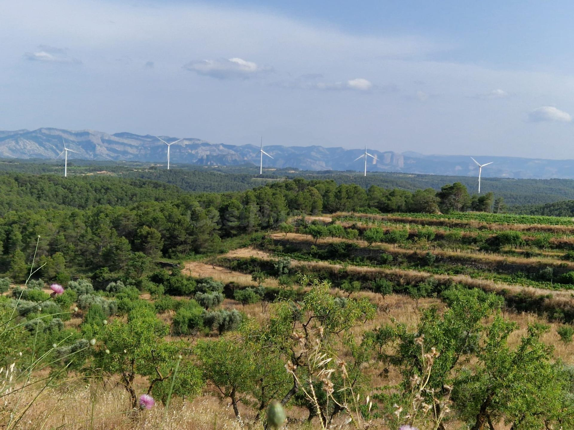 Finca rústica con masía del siglo XVIII catalogada – Caseres, Terra Alta (Tarragona)