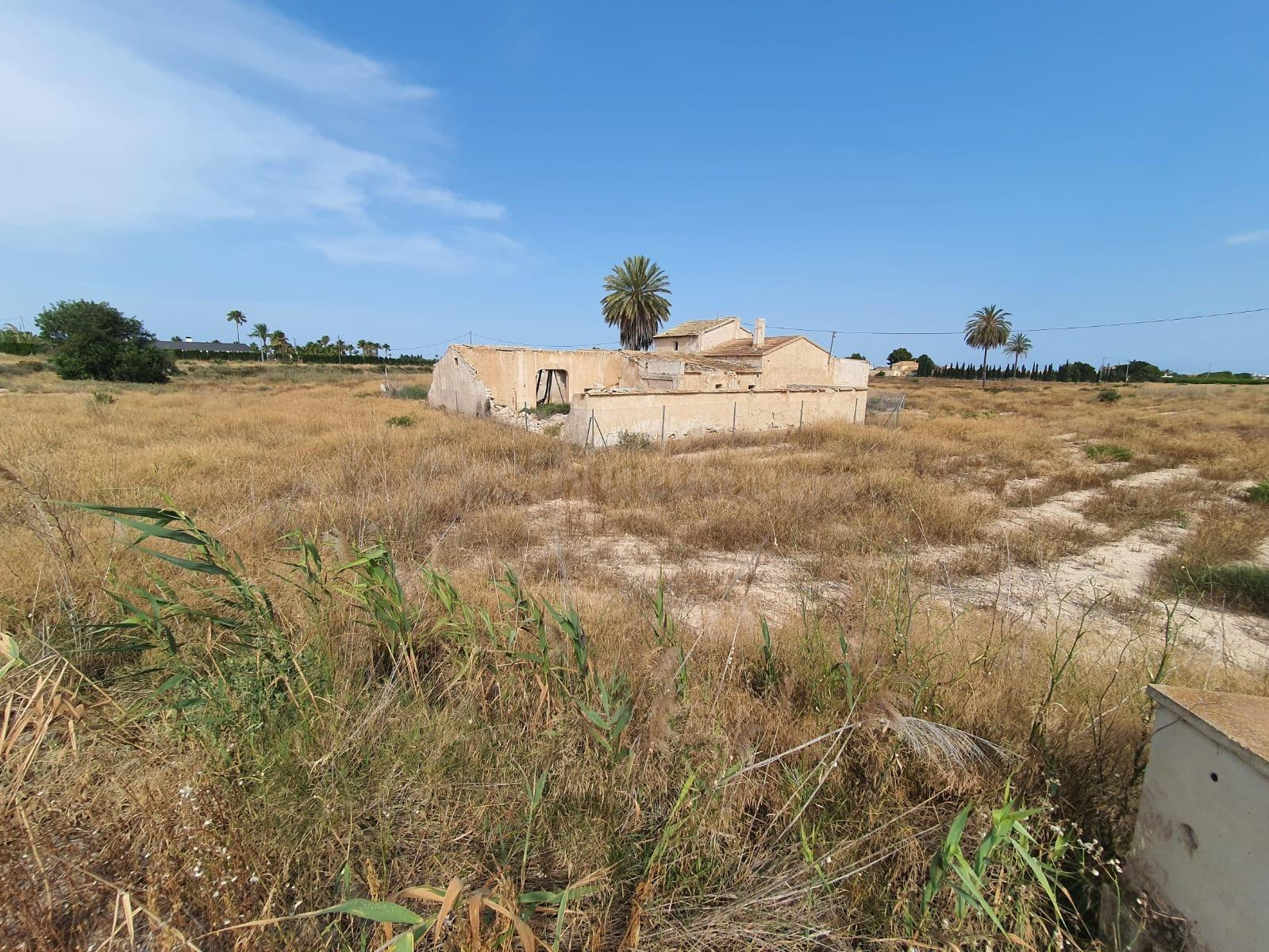 Terreno grande Las Bayas, Elche