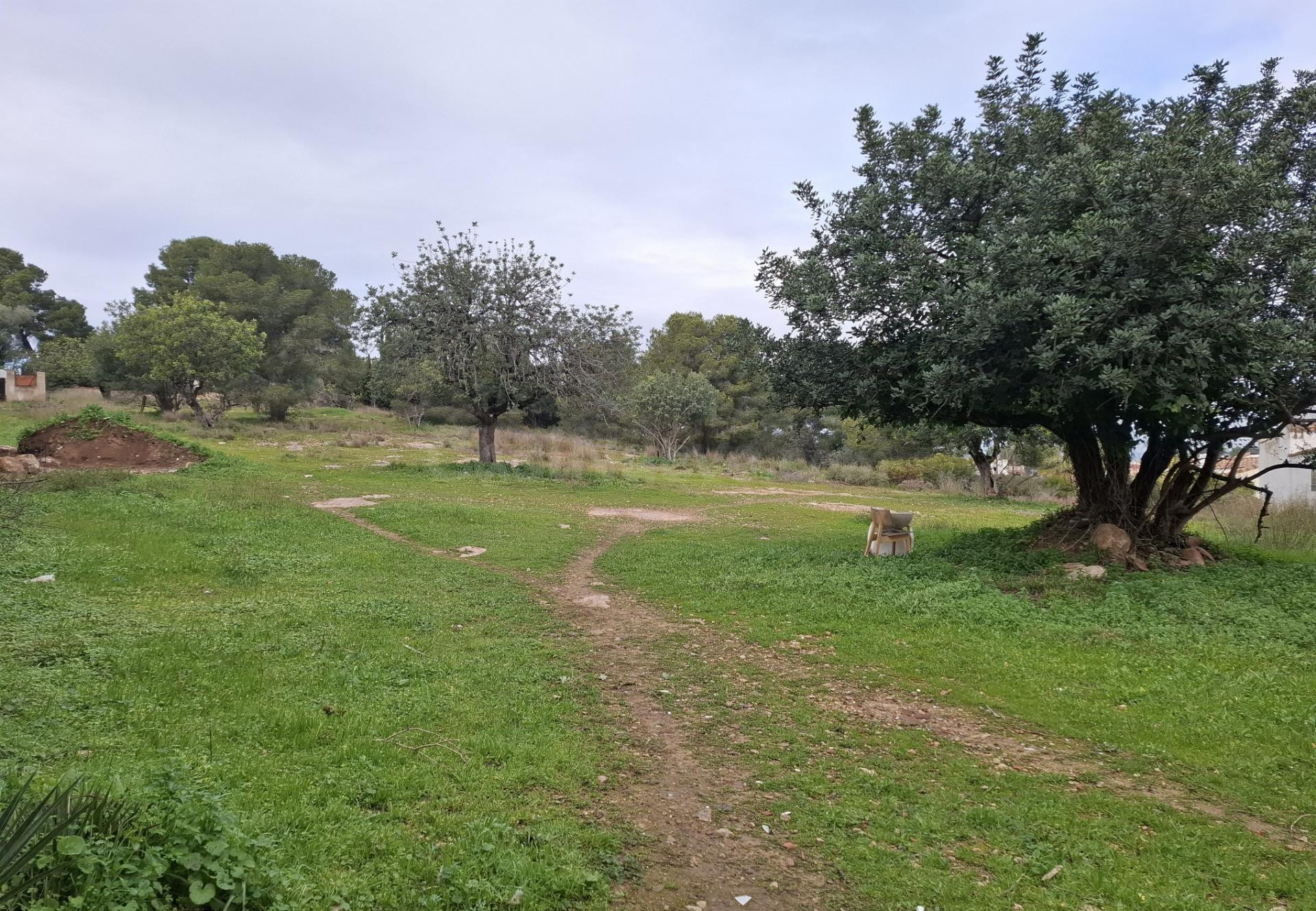 ¡Oportunidad única de inversión a solo 15 km de Valencia!