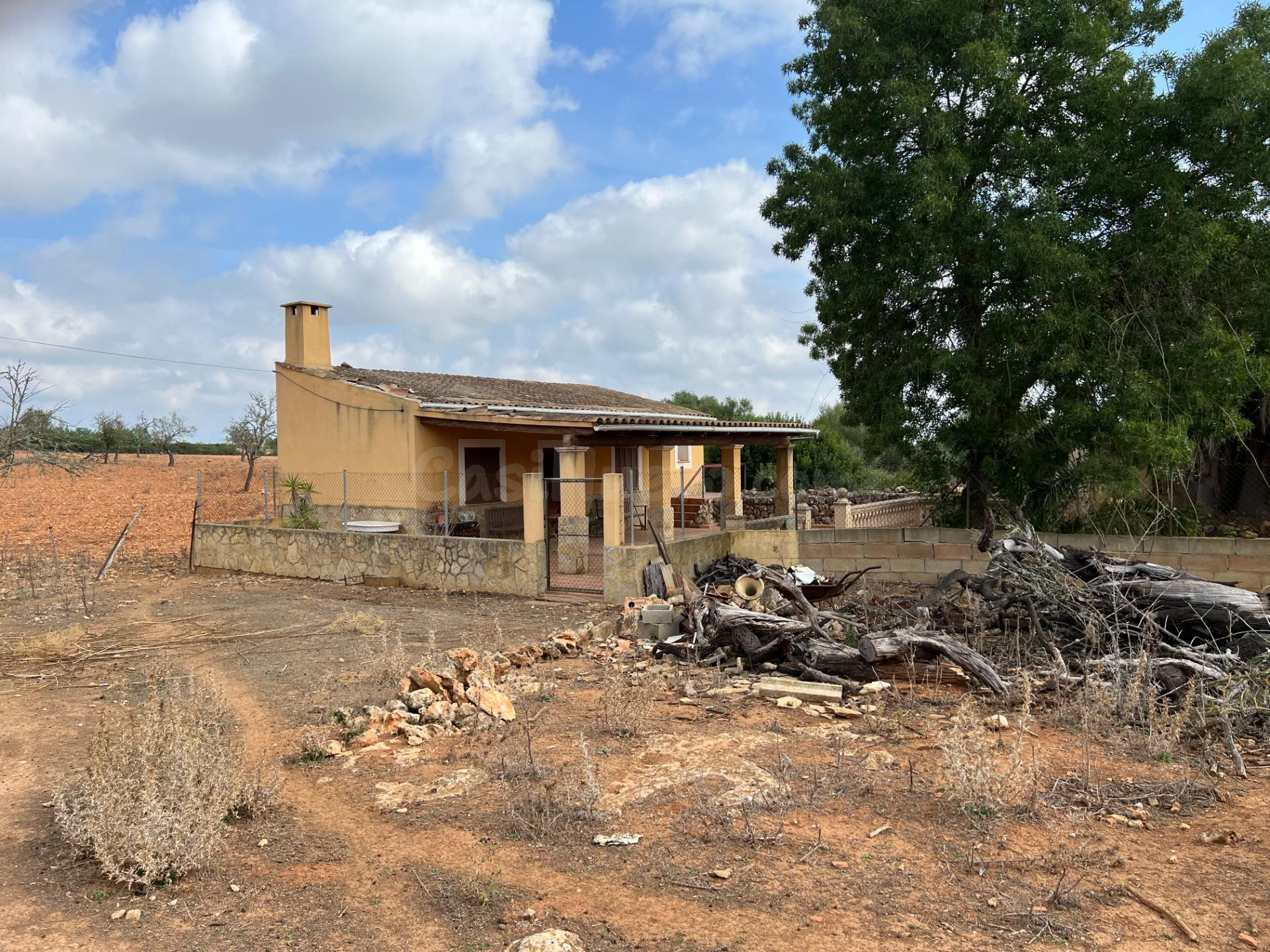 TERRENO EN SINEU PARA CONSTRUIR VIVIENDA DE 800 m2