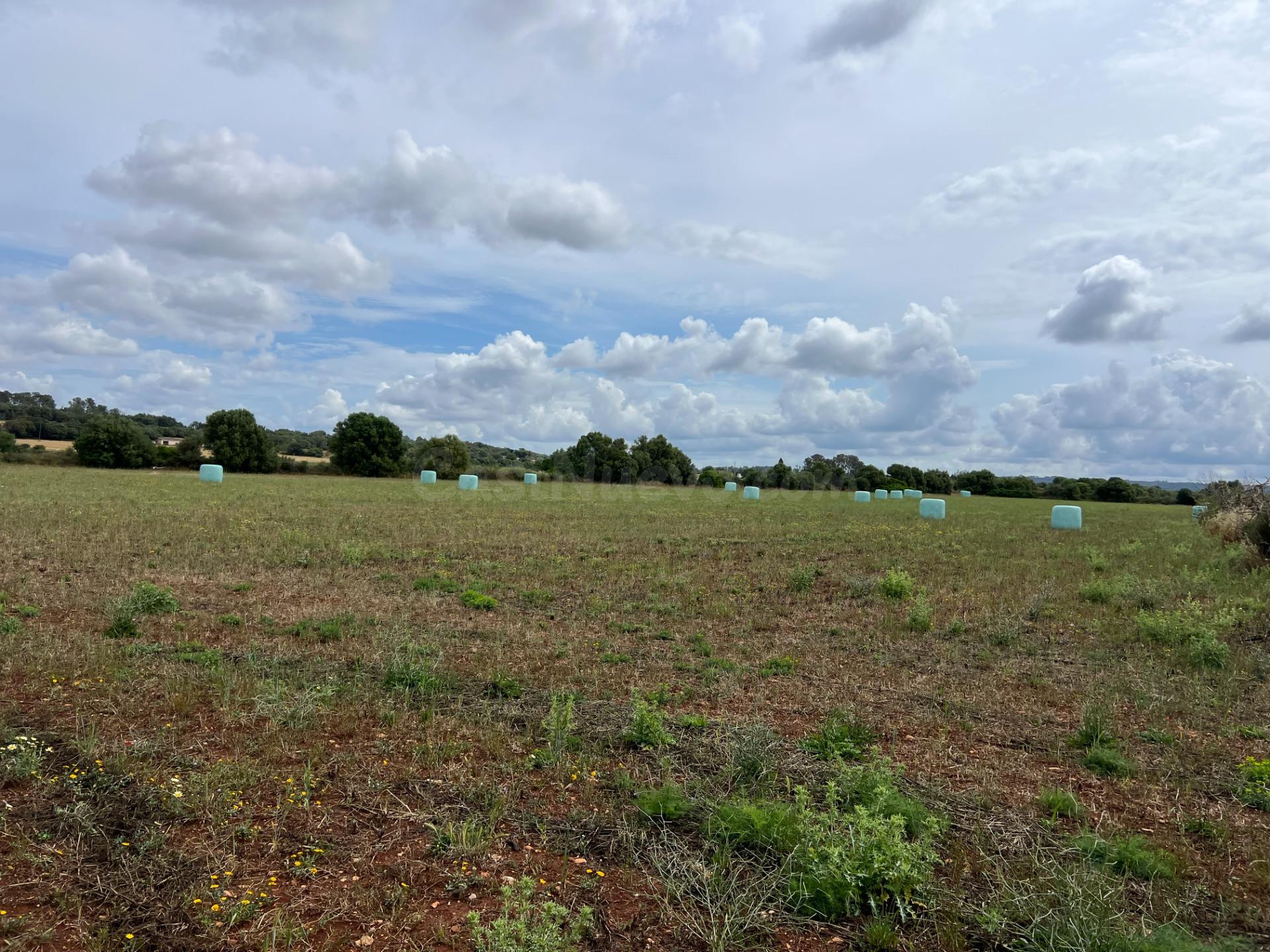 Terreno en Sencelles