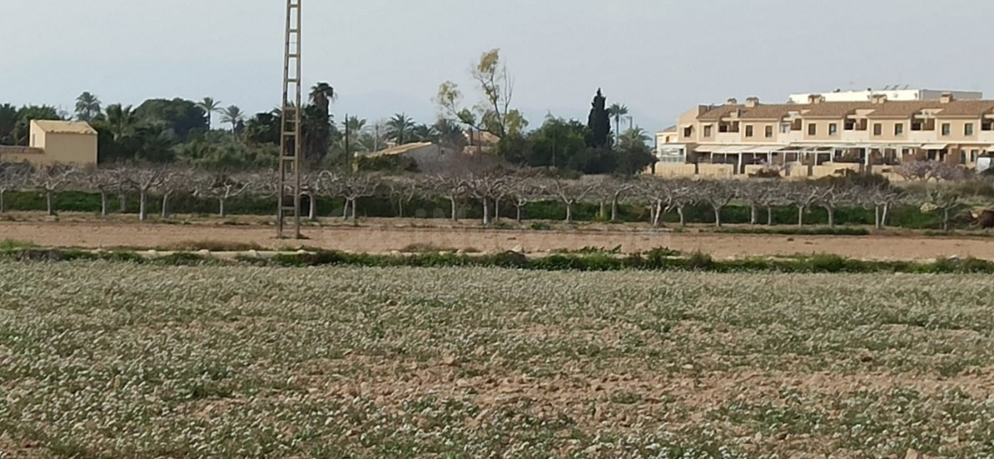 TERRENO A 300 Mº DEL NUCLEO DE  PERLETA