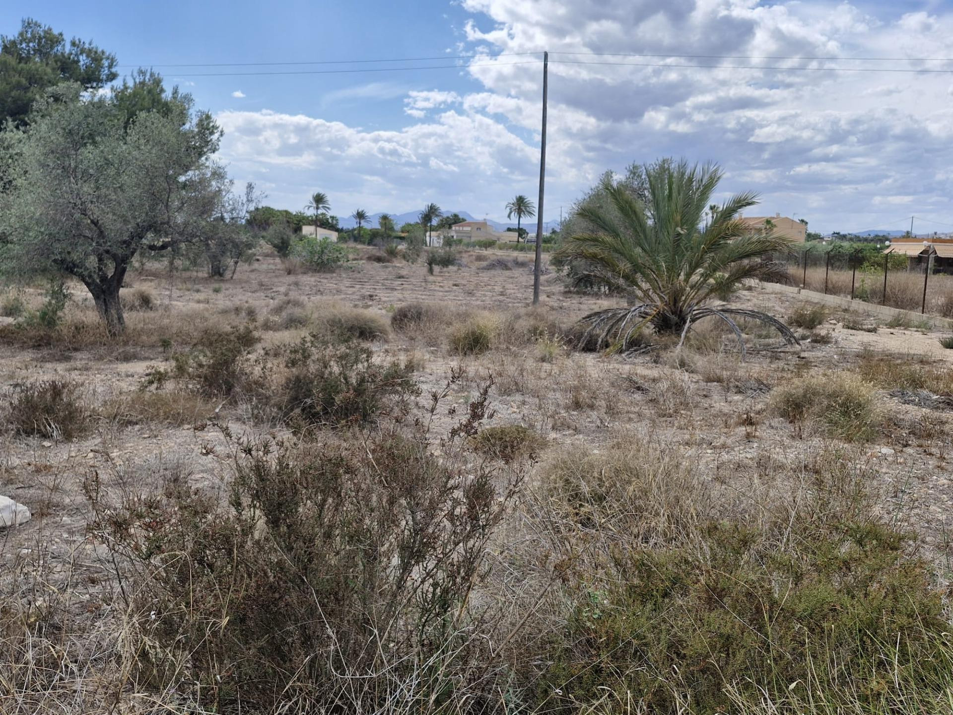 11000 m2 TERRENO RÚSTICO PARA CONSTRUIR