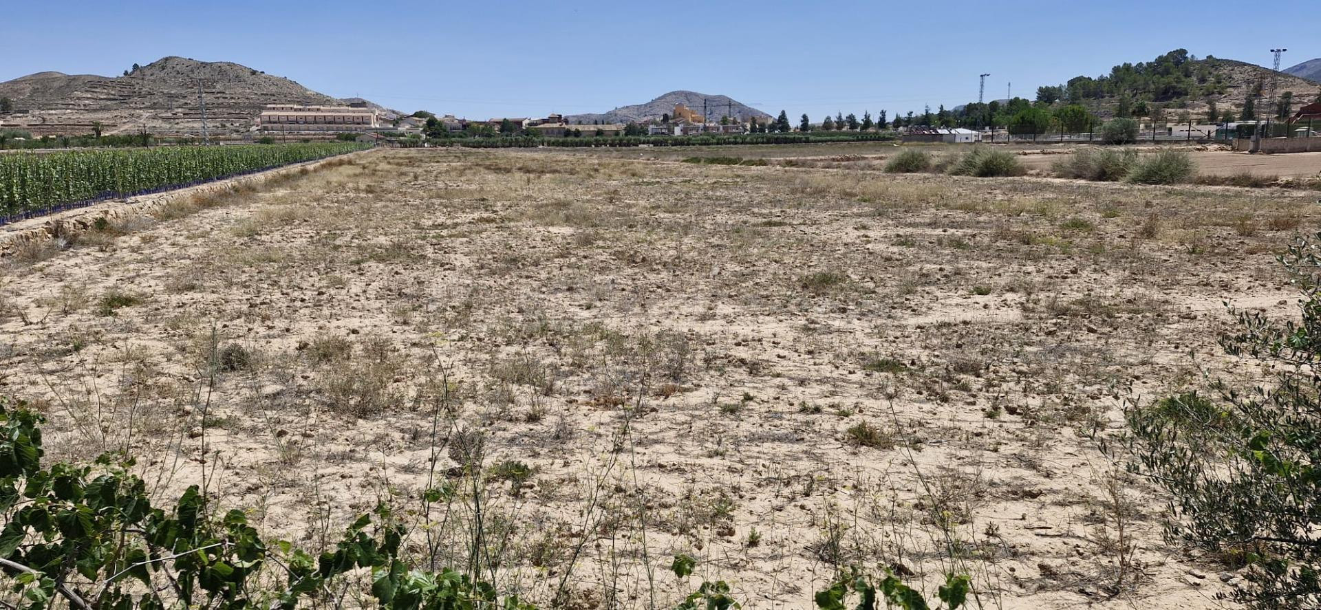 20.000m2 DE TERRENO PARA EDIFICAR EN HONDON DE LAS NIEVES!
