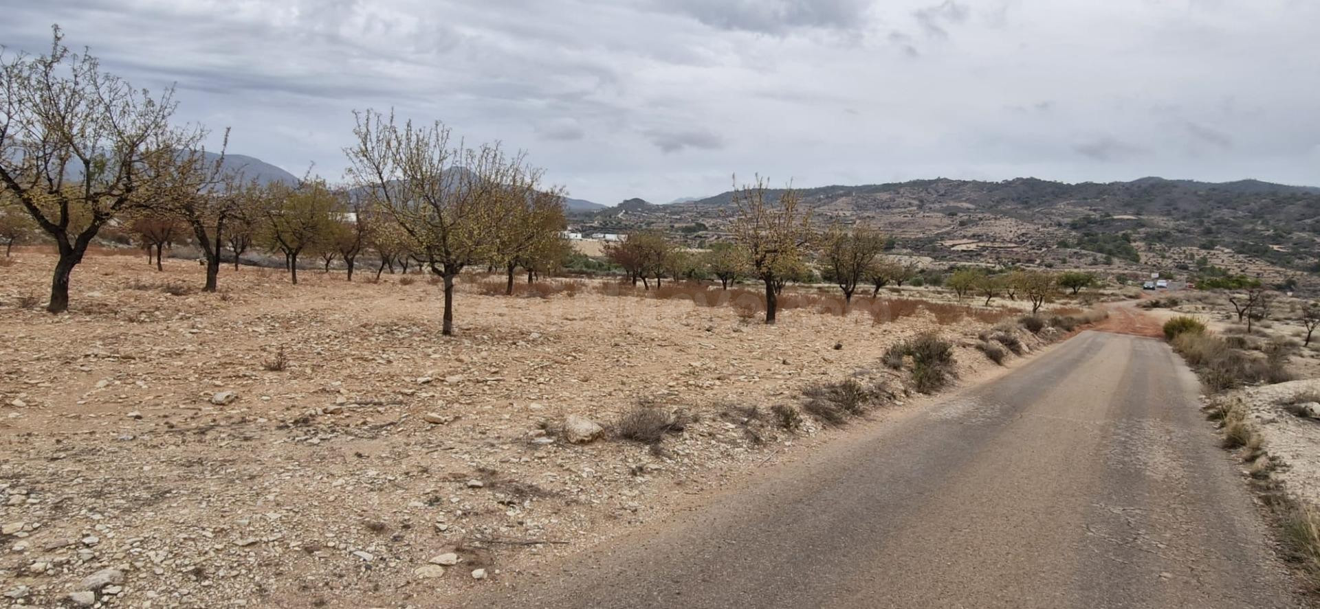 TERRENO 8500 M2  EN ABANILLA PARA COSNTRUIR