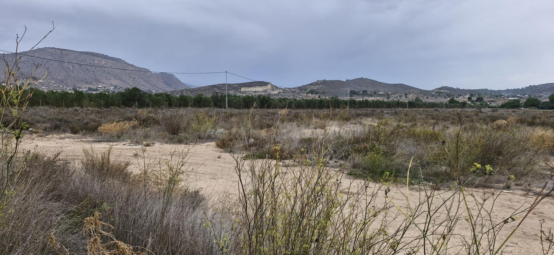 12000M2 TERRENO RUSTICO CON AGUA Y LUZ SOLO CONSTRUIR EL CHALET DE TUS SUEÑOS