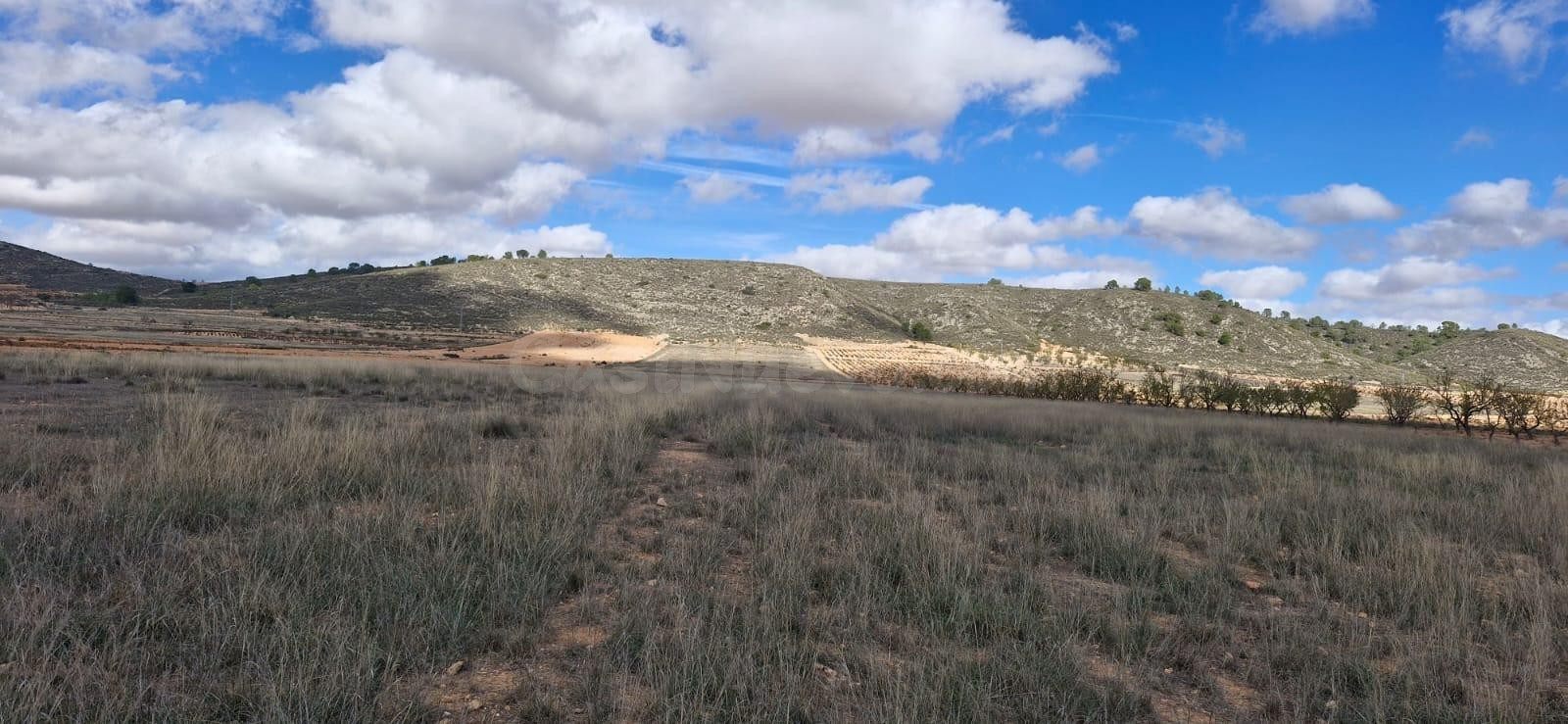 SE VENDEN 57141 M2 PARCELADOS EN CARRETERA DE ABANILLA/MURCIA