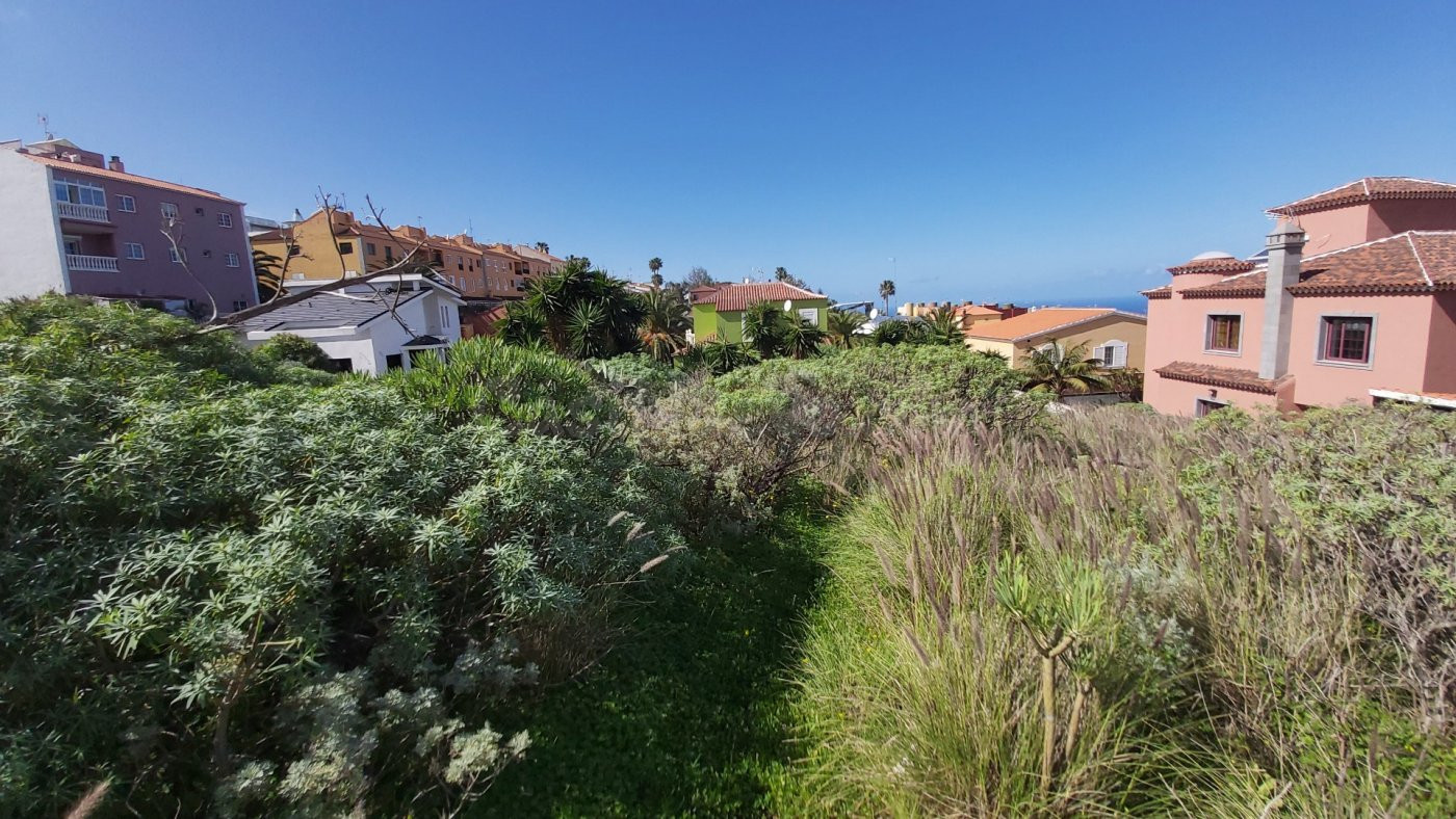 TERRENO EN VENTA EN CALLE TAJINASTE SAUZAL