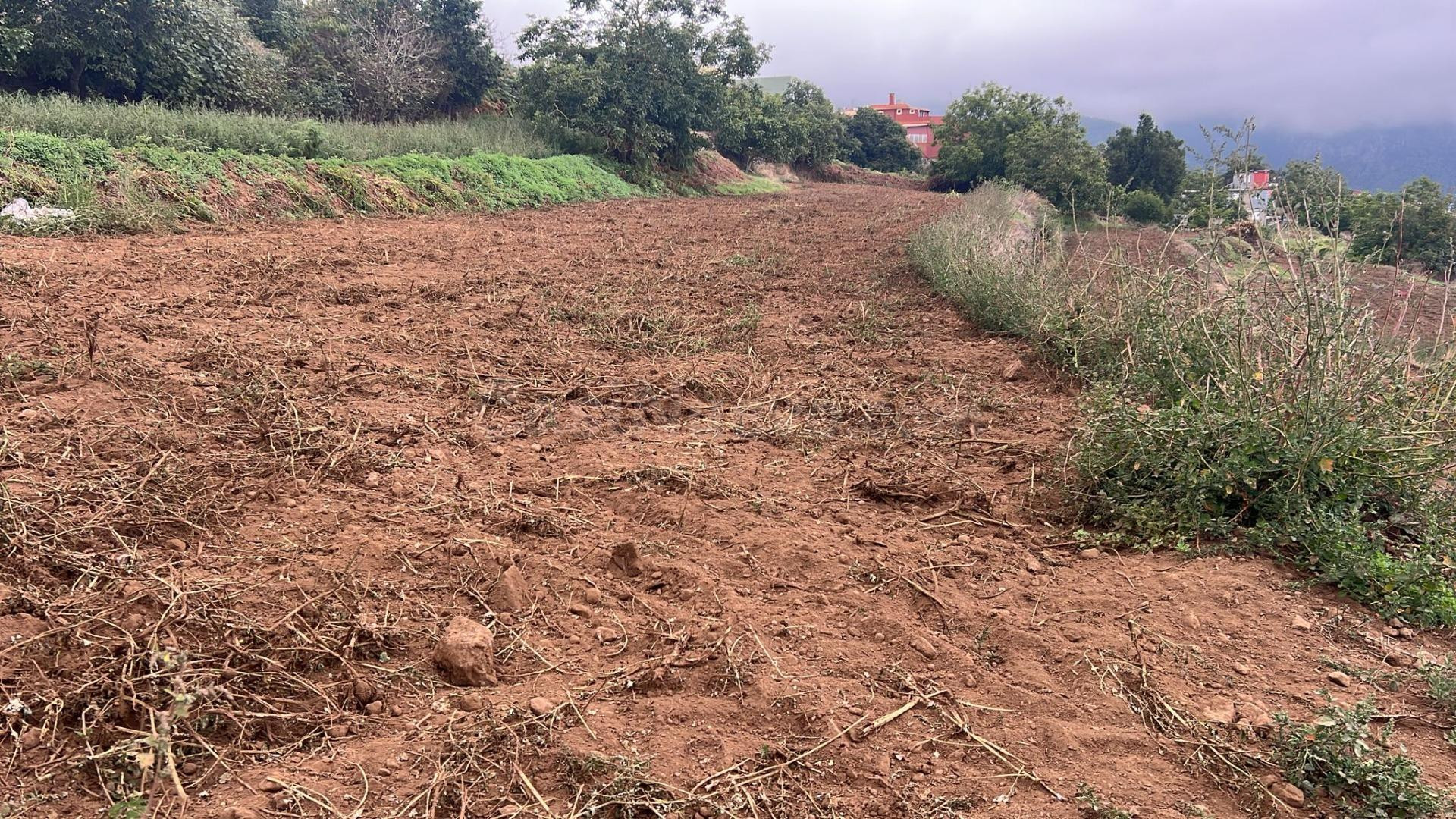 SE VENDE TERRENO RÚSTICO EN LOS REALEJOS – TENERIFE