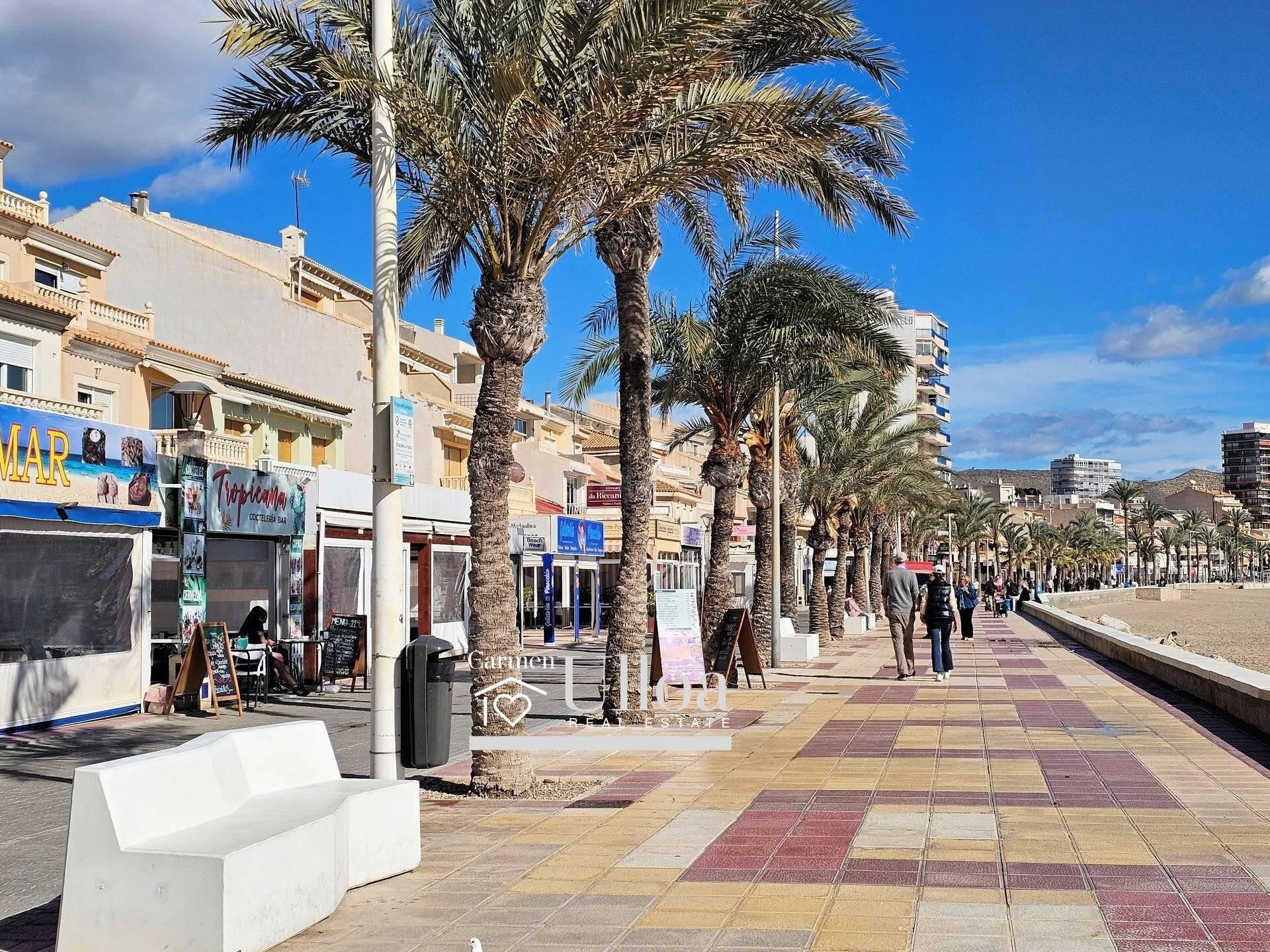 EXCLUSIVA PARCELA URBANA JUNTO AL PUERTO DE CAMPELLO