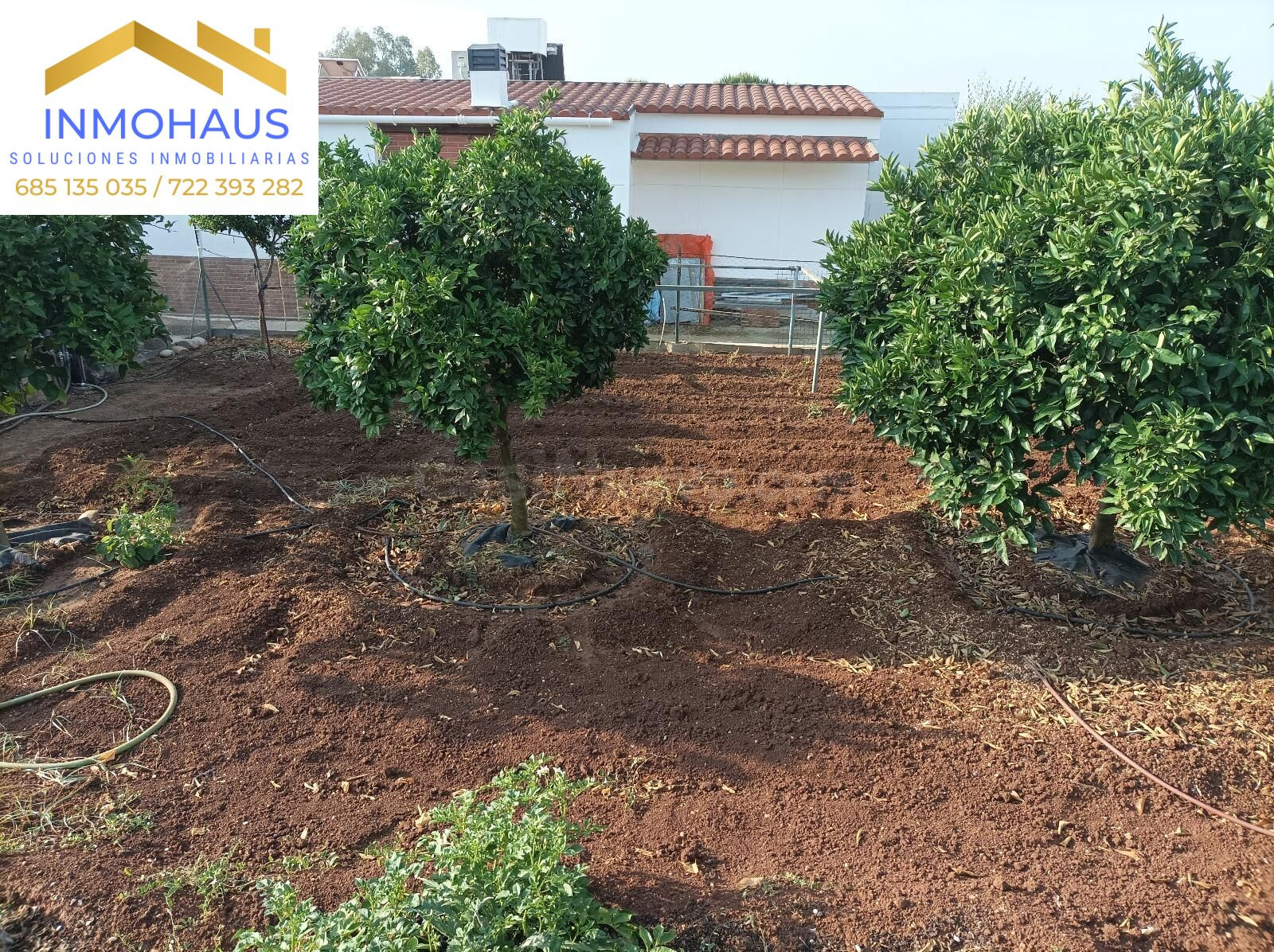 CASA CAMPO EL HIGUERON CORDOBA - foto 4
