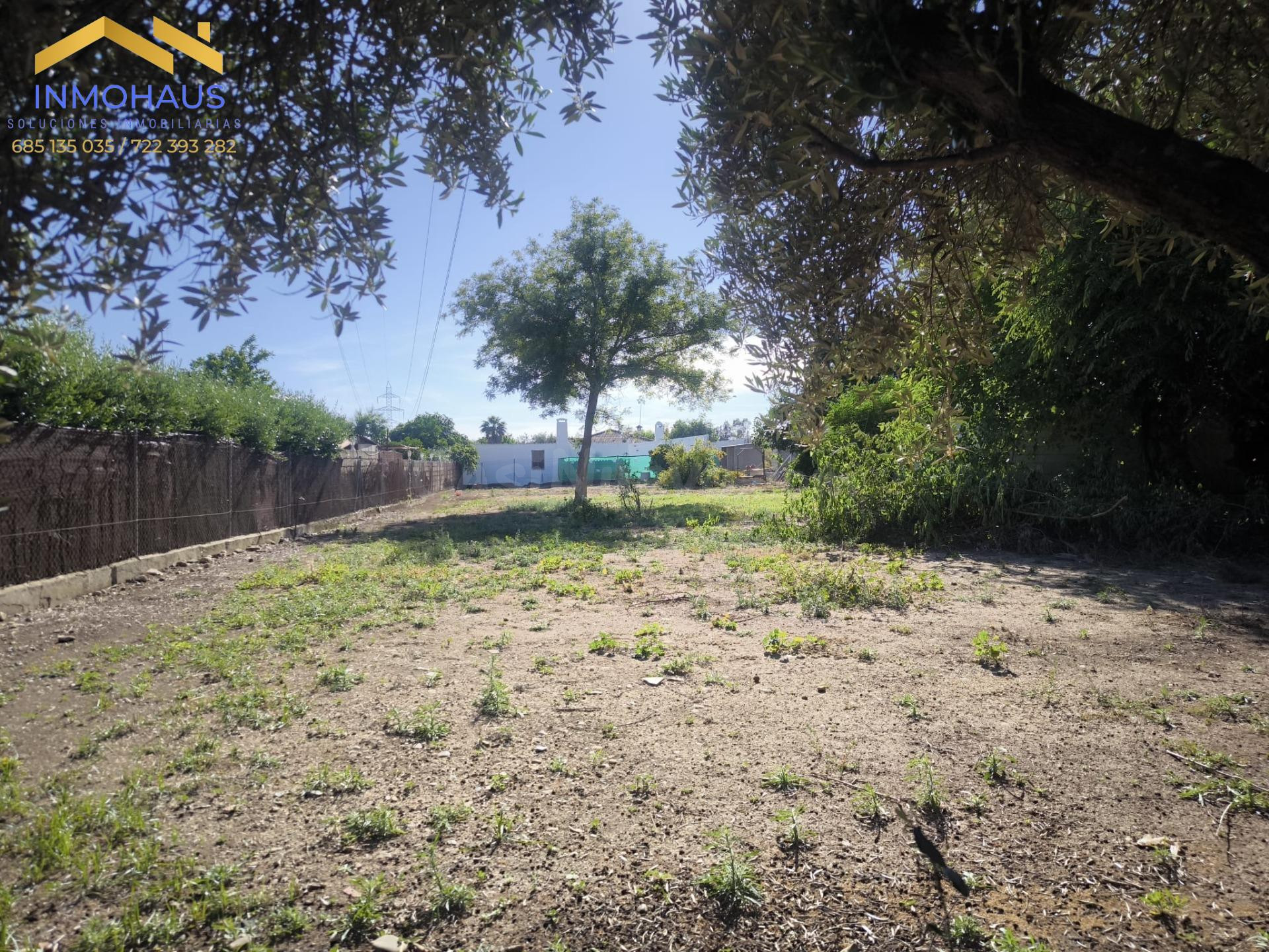 PARCELA EN VENTA EN LA GORGOJA-EL HIGUERÓN - foto 2