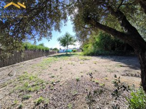 PARCELA EN VENTA EN LA GORGOJA-EL HIGUERÓN - foto 4