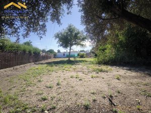 PARCELA EN VENTA EN LA GORGOJA-EL HIGUERÓN - foto 5