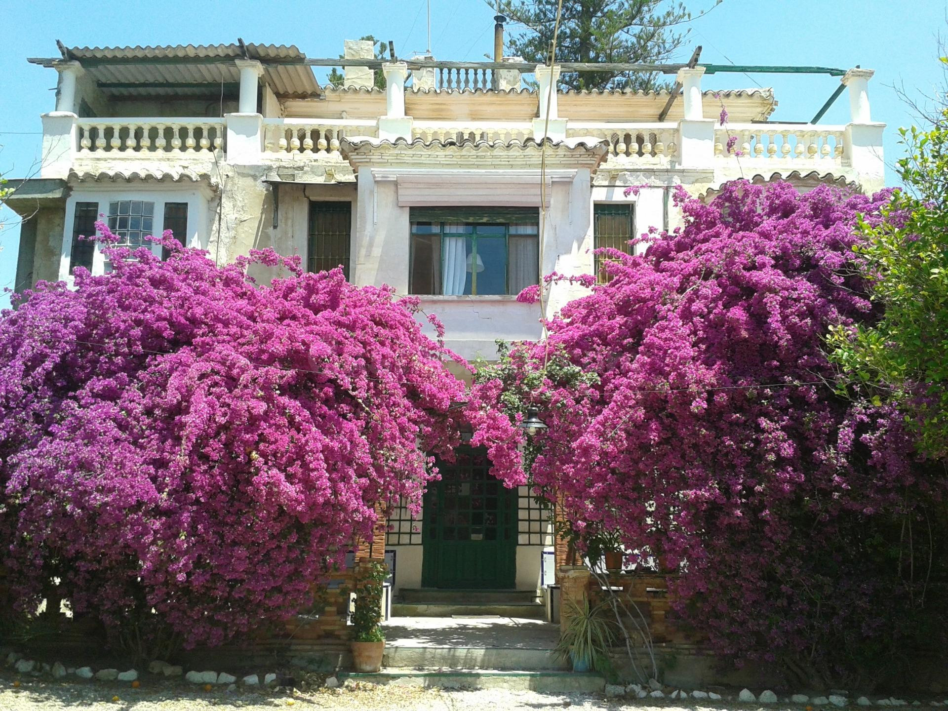 Finca del siglo XIX - foto 2
