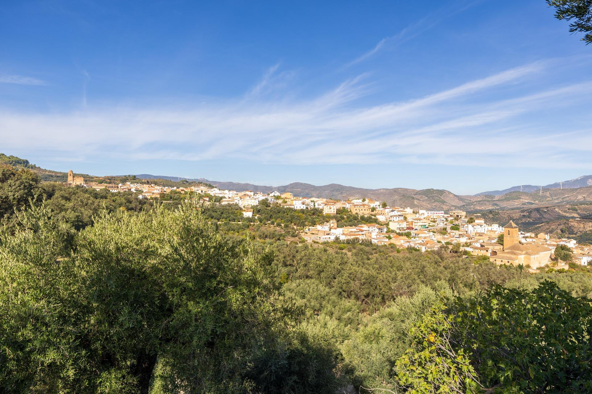¡Oportunidad única! Dos Fincas rústicas de mas de 15.000 m2 en total en Pinos del Valle (Lecrín)