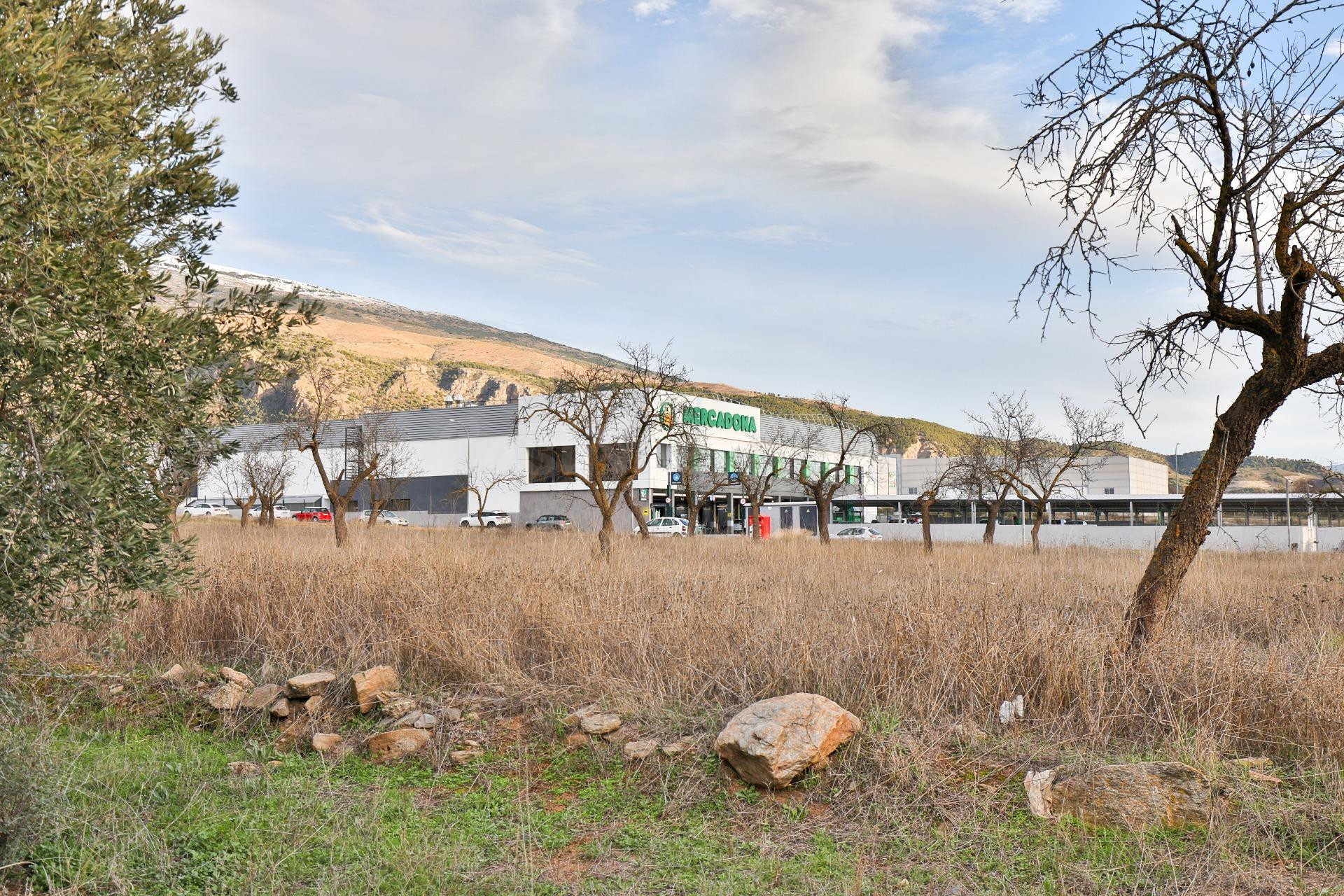 Más de 3000 metros de suelo Urbanizable Industrial frente a Mercadona y Lidl de Nigüelas