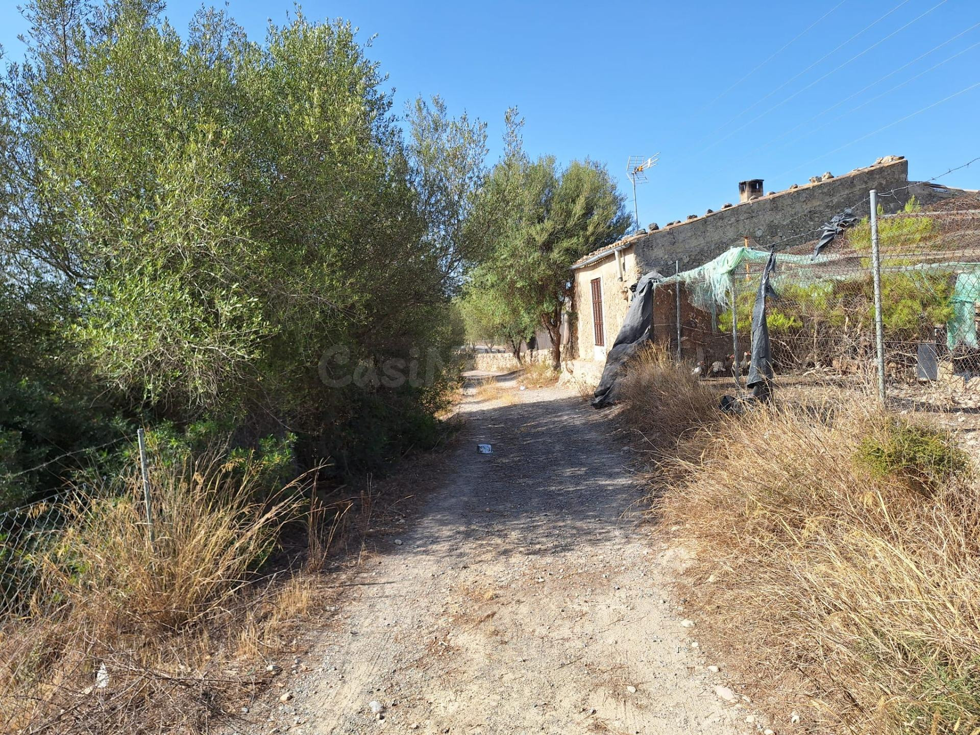 TERRENO EN VENTA EN MURO