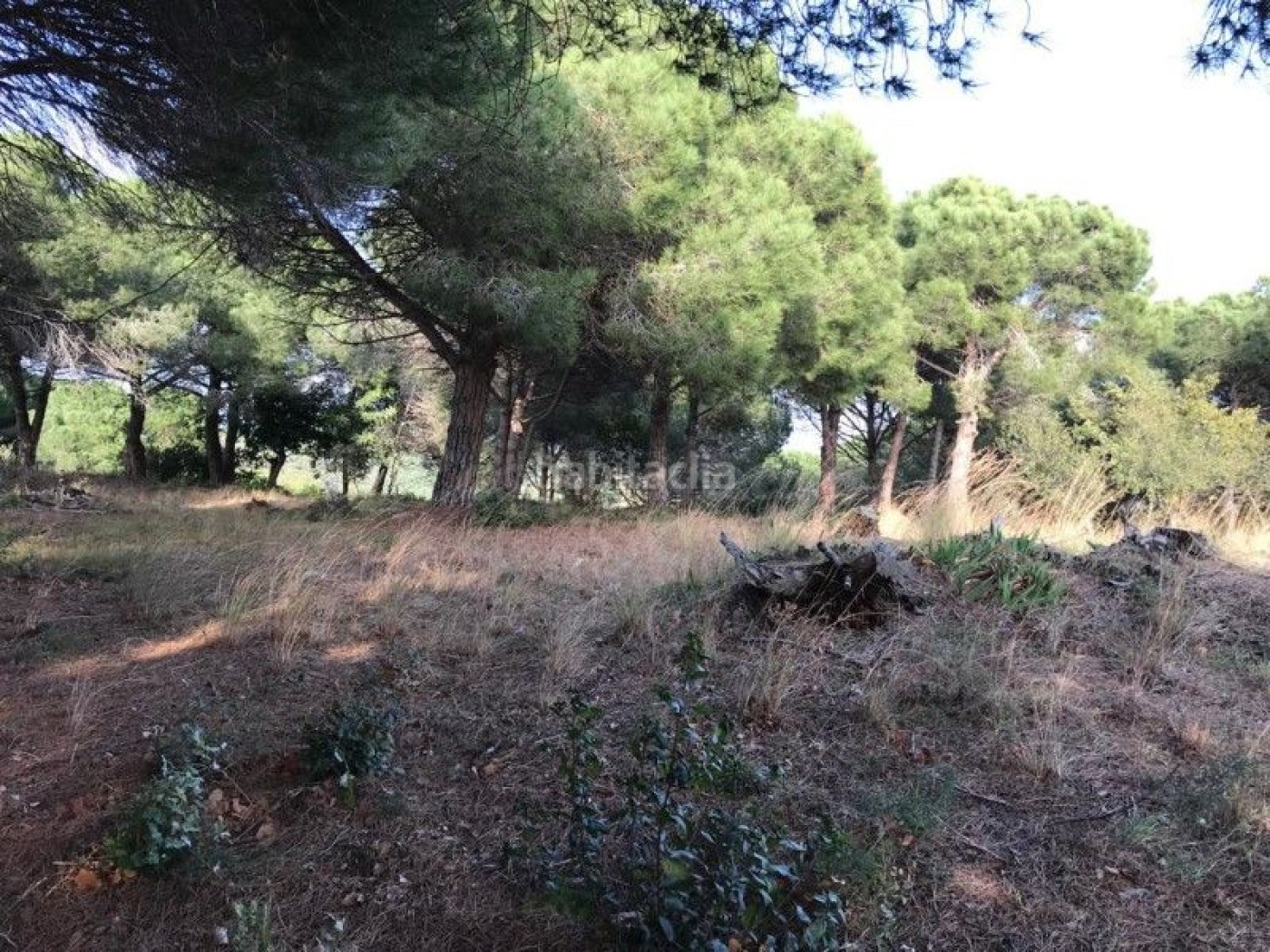TERRENO EN CANET DE MAR