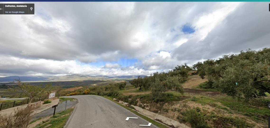 Terreno agrario en venta, Deifontes.