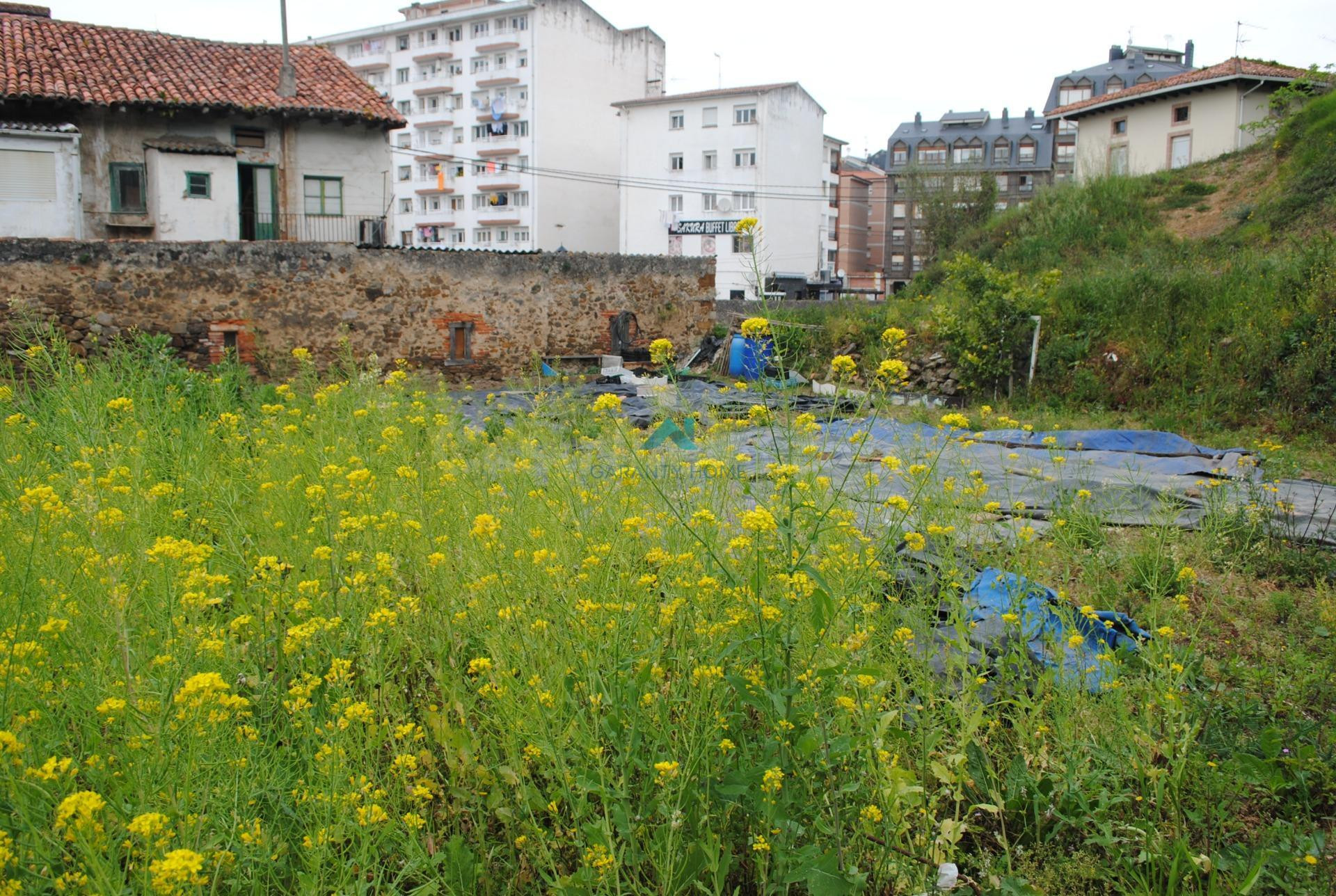Se vende casa con terreno urbano en Colindres