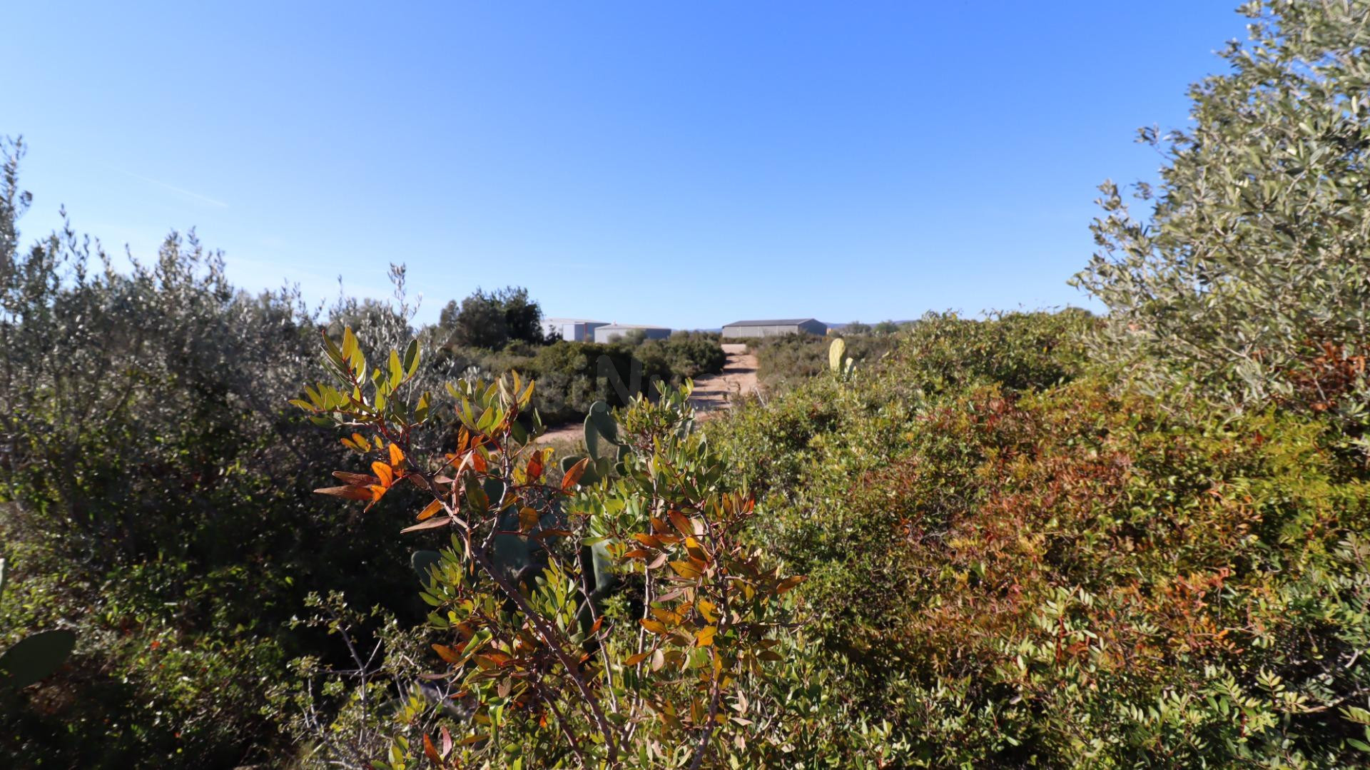 Finca de algarrobos. - foto 5