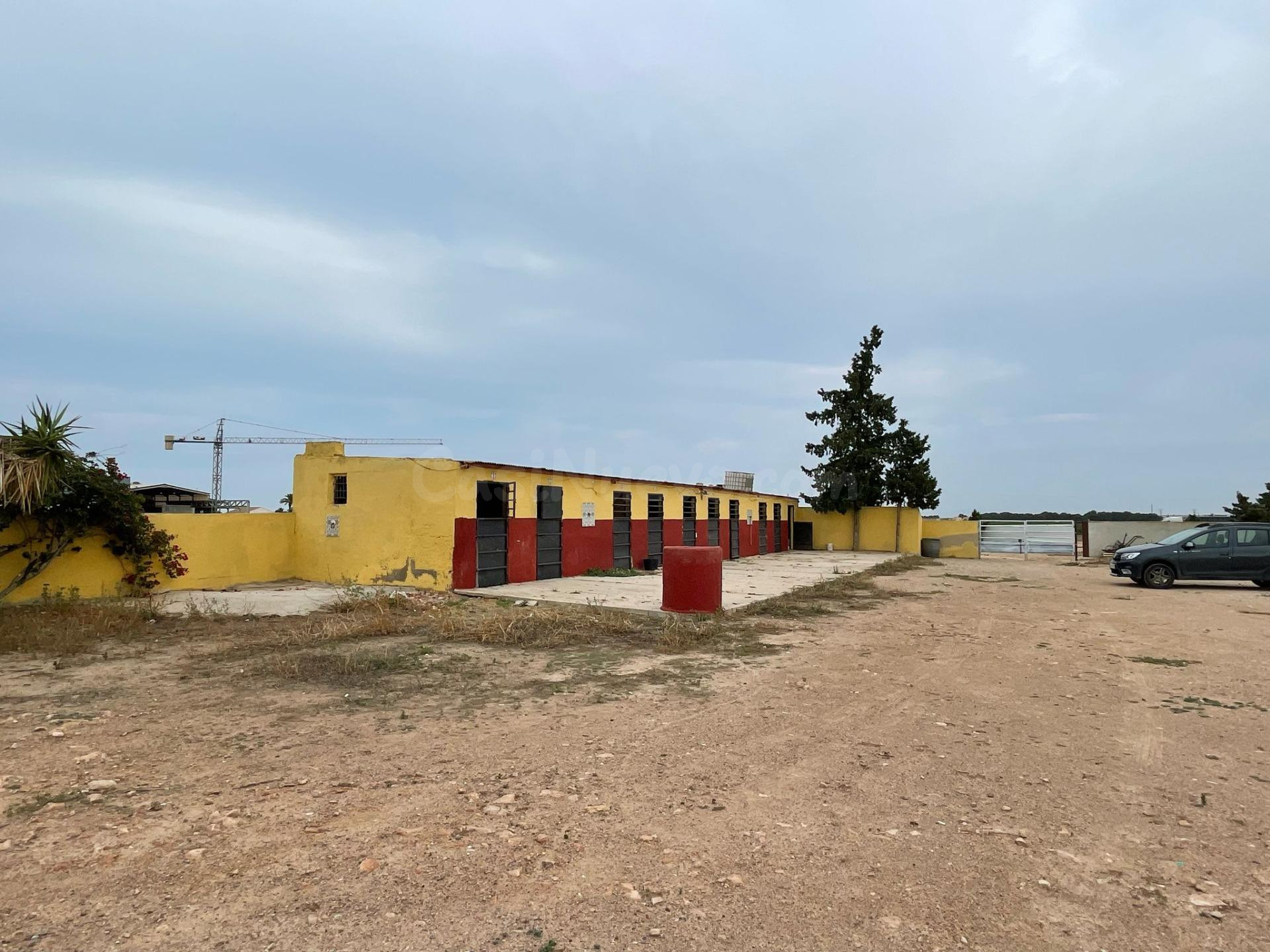 🌾 Finca rústica en venta en Carril de los Alonsos – Balsicas, Torre-Pacheco 🌾