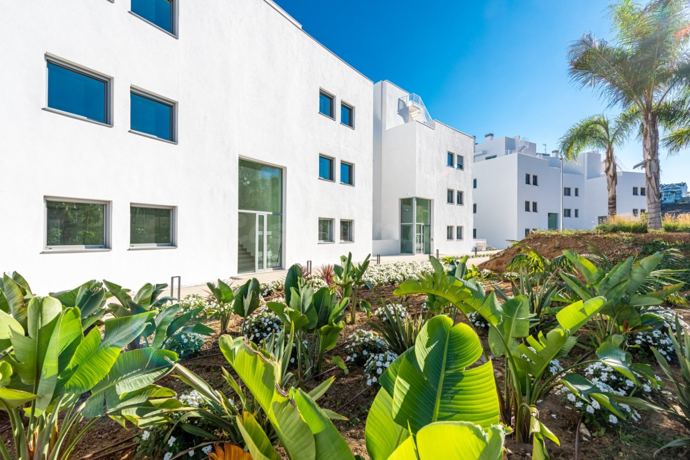 Proyecto de lujo situado en La Cala de Mijas.