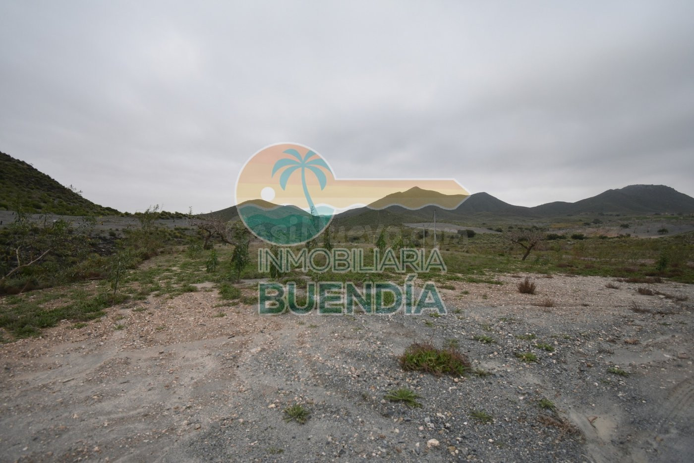 TERRENO RÚSTICO EDIFICABLE DE MÁS DE 45.000 METROS JUNTO A CARRETERA Y ACCESIBLE A LUZ Y AGUA.