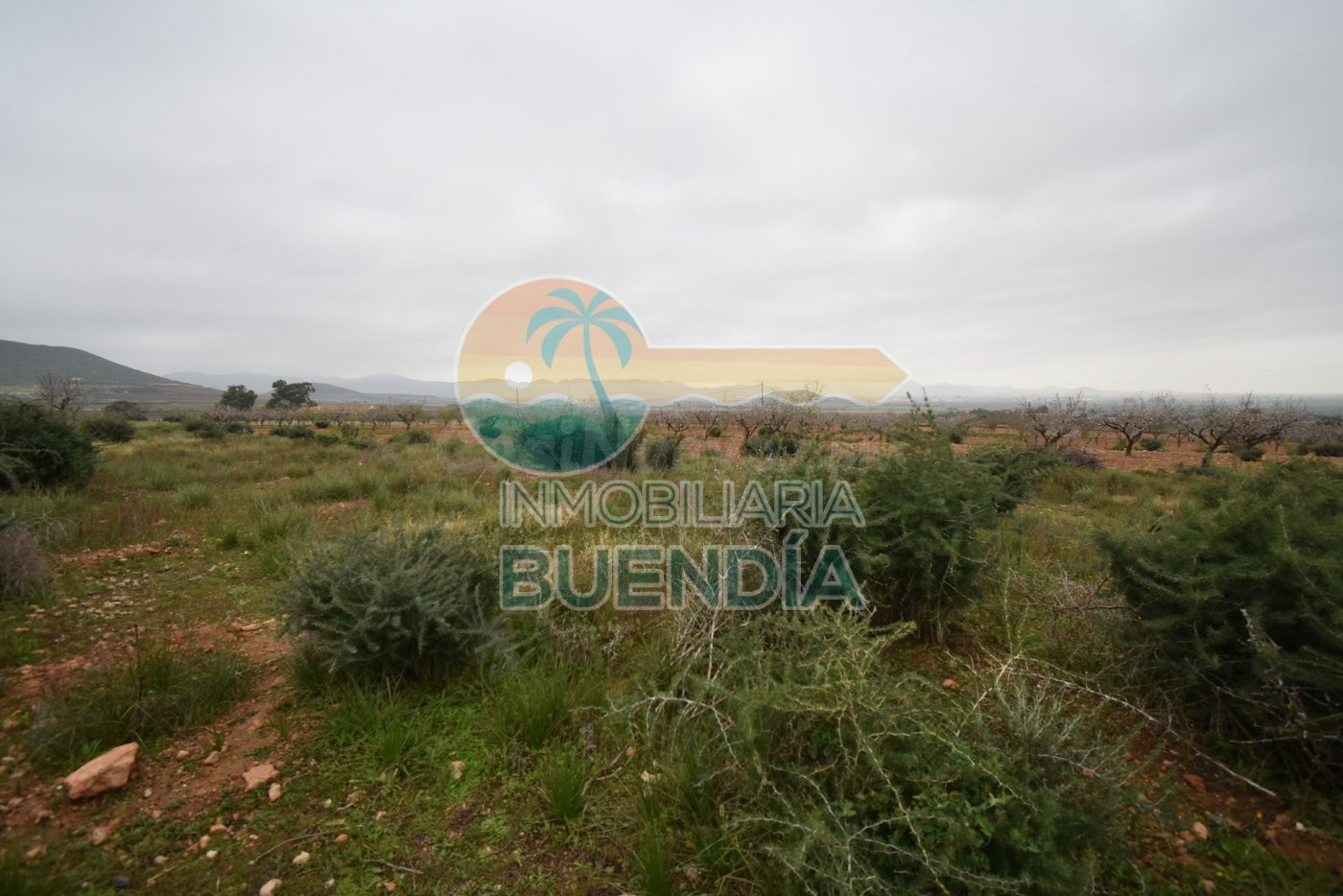 TRES TERRENOS, UNO CON CASA DERRUIDA, ACCESIBLES A LUZ Y AGUA Y CON DERECHO A POZO.