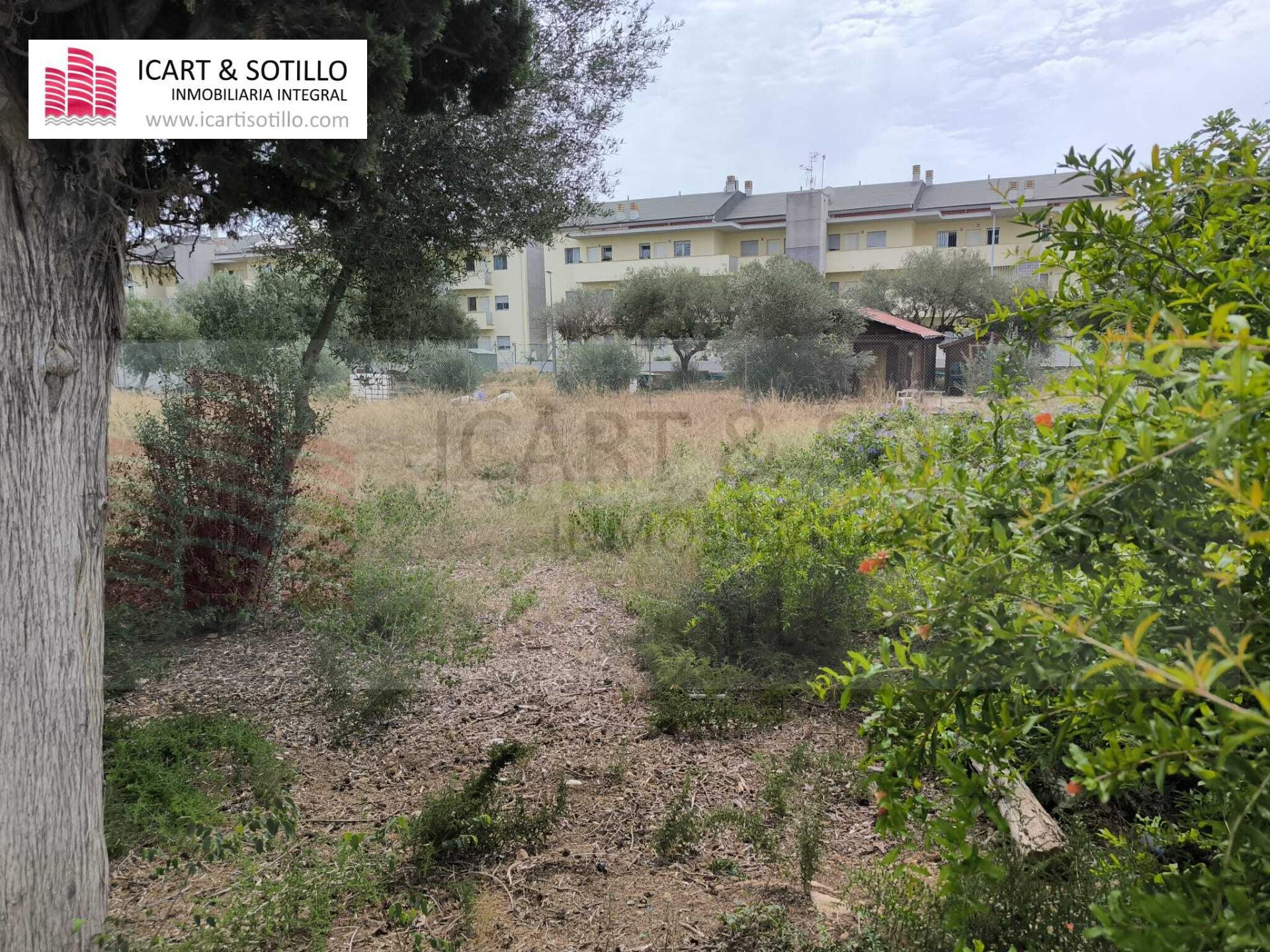PARCELA SEGREGABLE EN VINARÒS, COSTA NORTE - foto 4