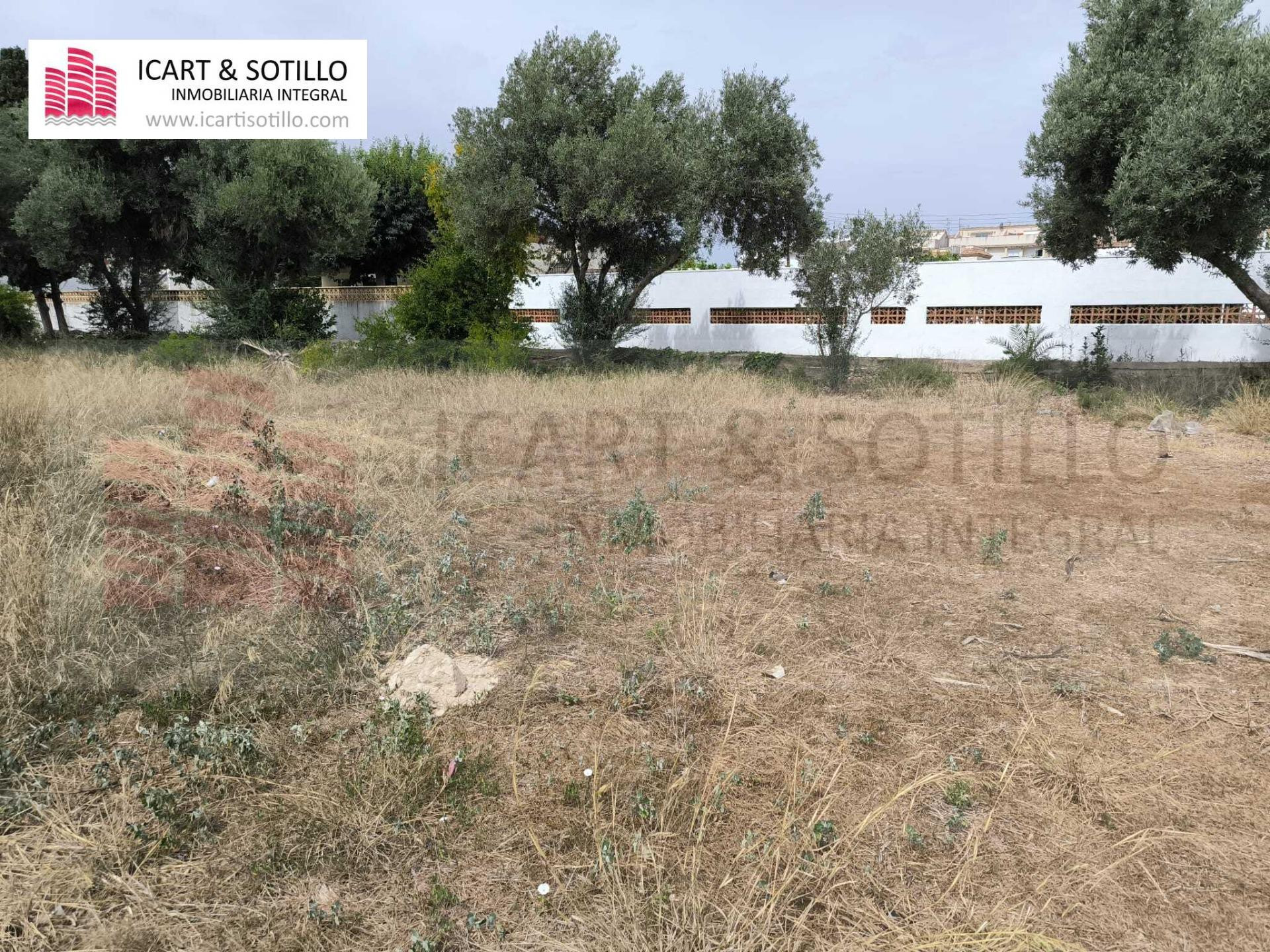 PARCELA SEGREGABLE EN VINARÒS, COSTA NORTE - foto 5