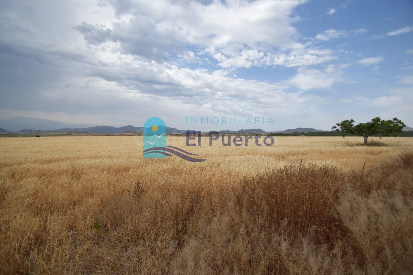 TERRENO RÚSTICO EDIFICABLE en venta
