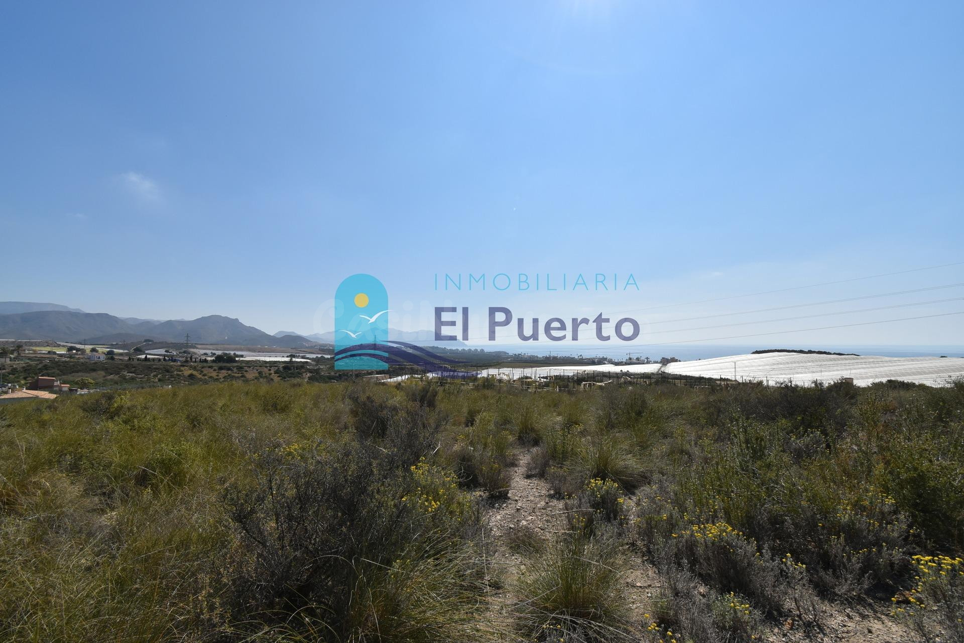 TERRENO EN VENTA CON BALSA DE RIEGO EN MAZARRÓN - REF 2206