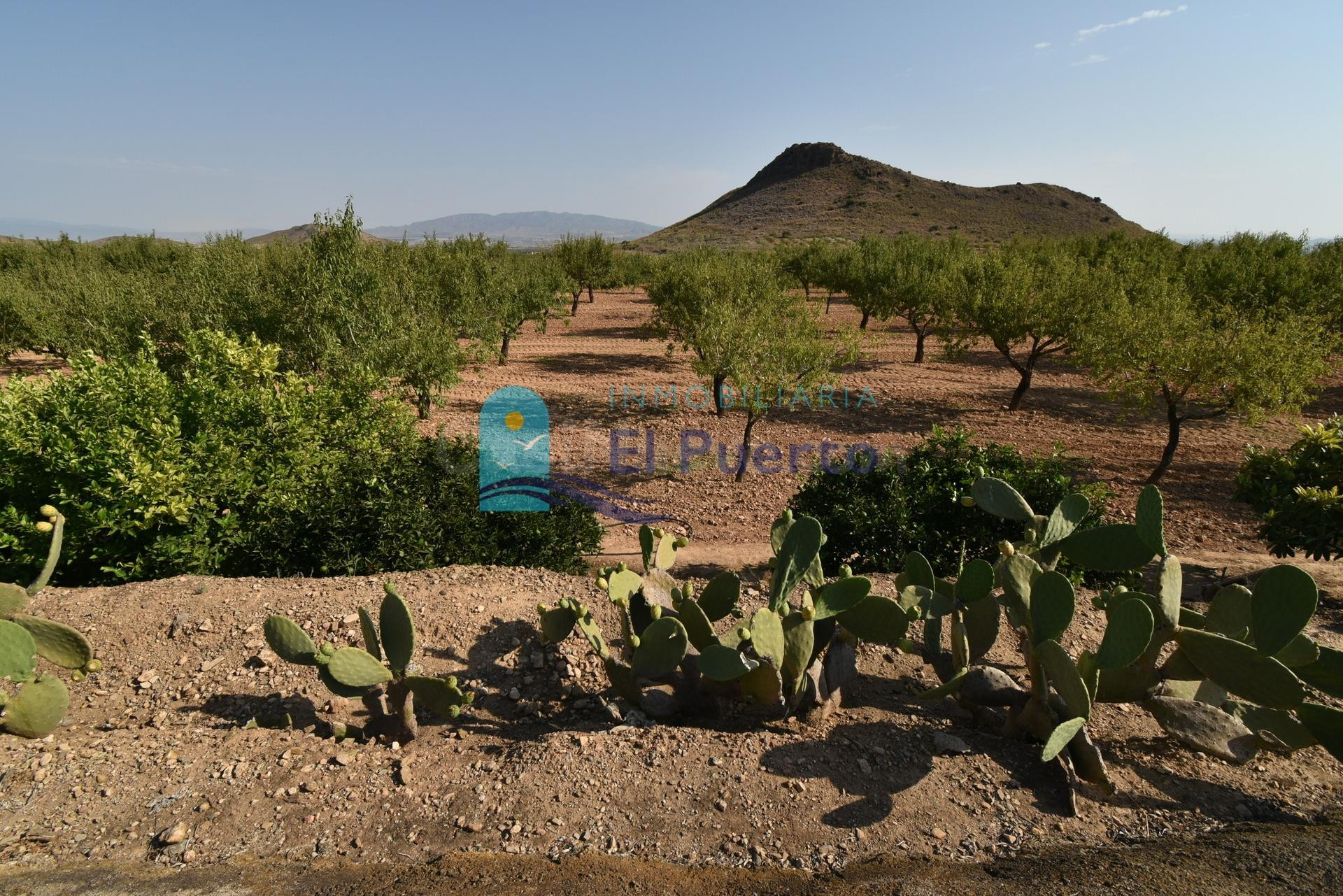 TERRENO RÚSTICO EN EL MARGAJÓN, MAZARRÓN – REF 297