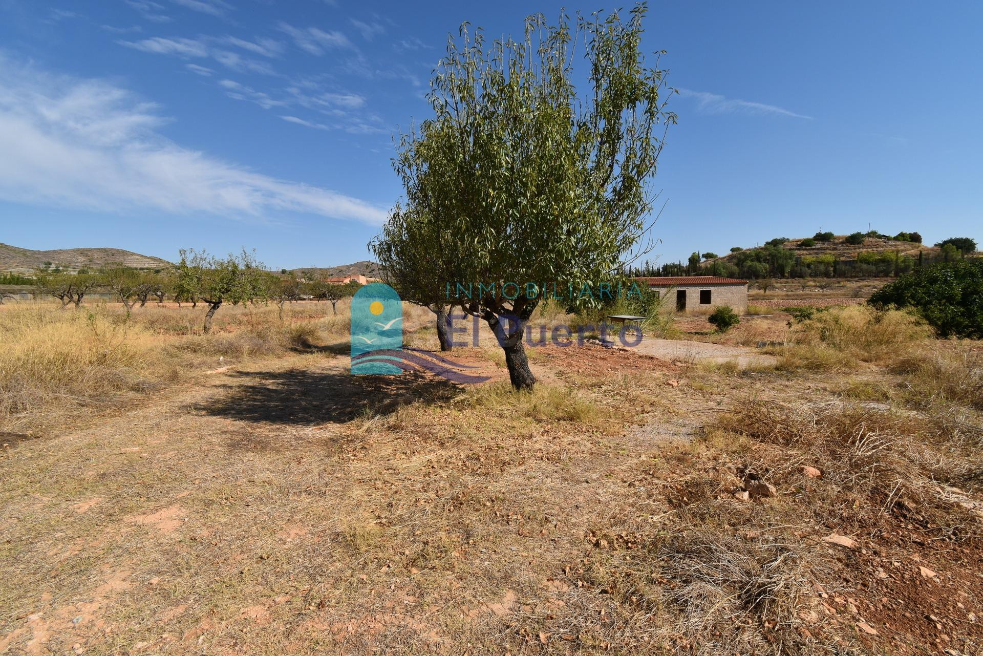 PARCELA RÚSTICA EN PERÍN – CARTAGENA – REF. 187