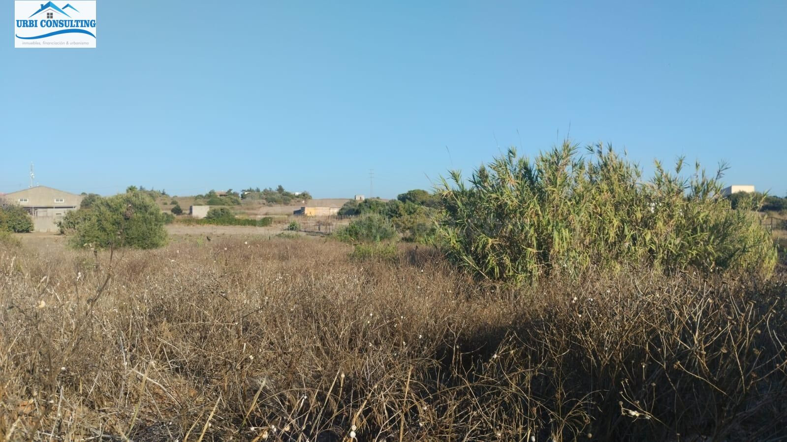 SE VENDE PARCELA SEGREGADA EN CALLEJON BORREGUITOS