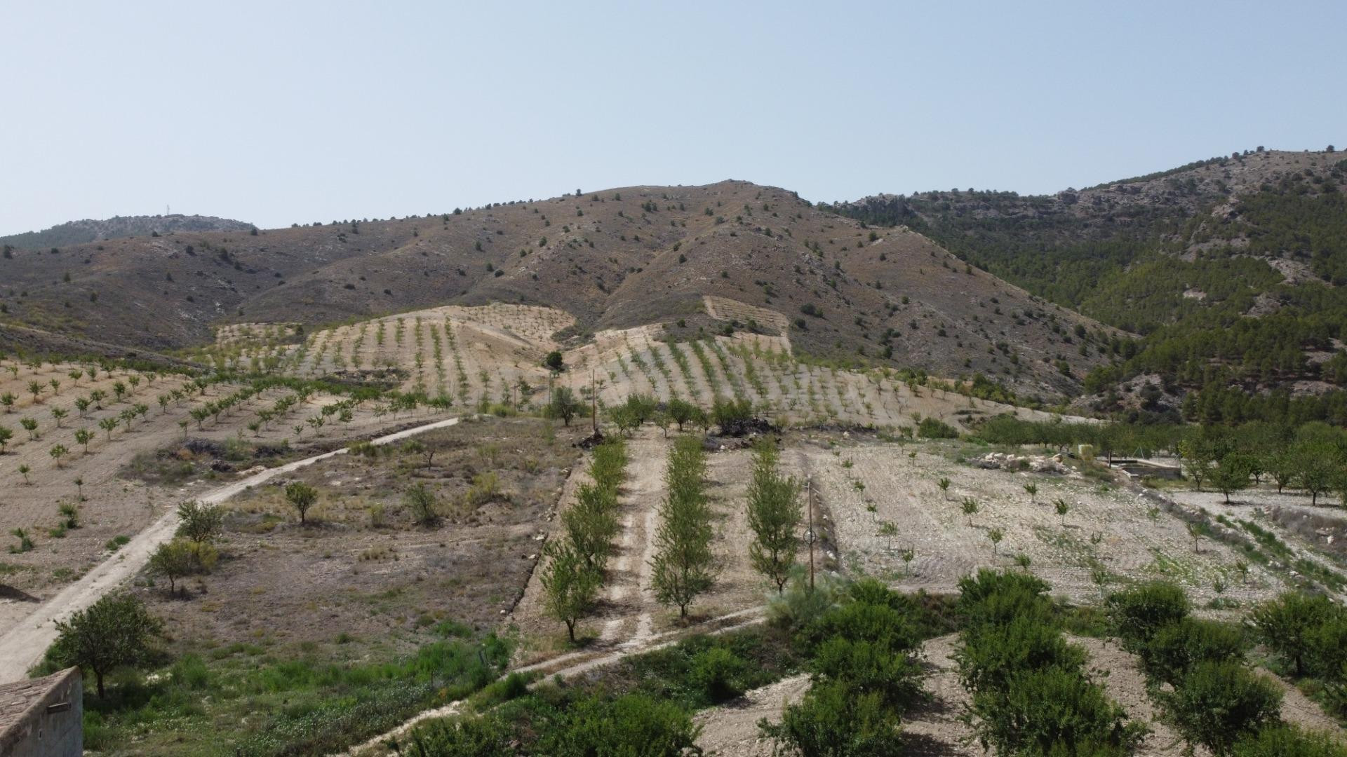Terreno magnifico