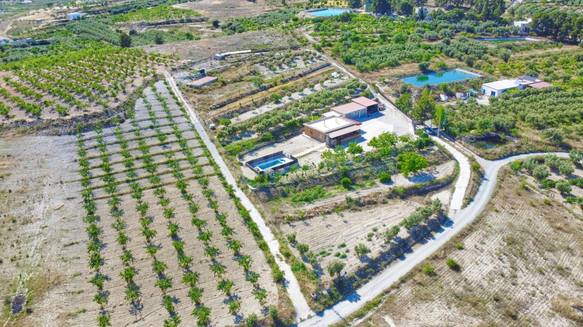 Cortijo con piscina y tierra cultivada