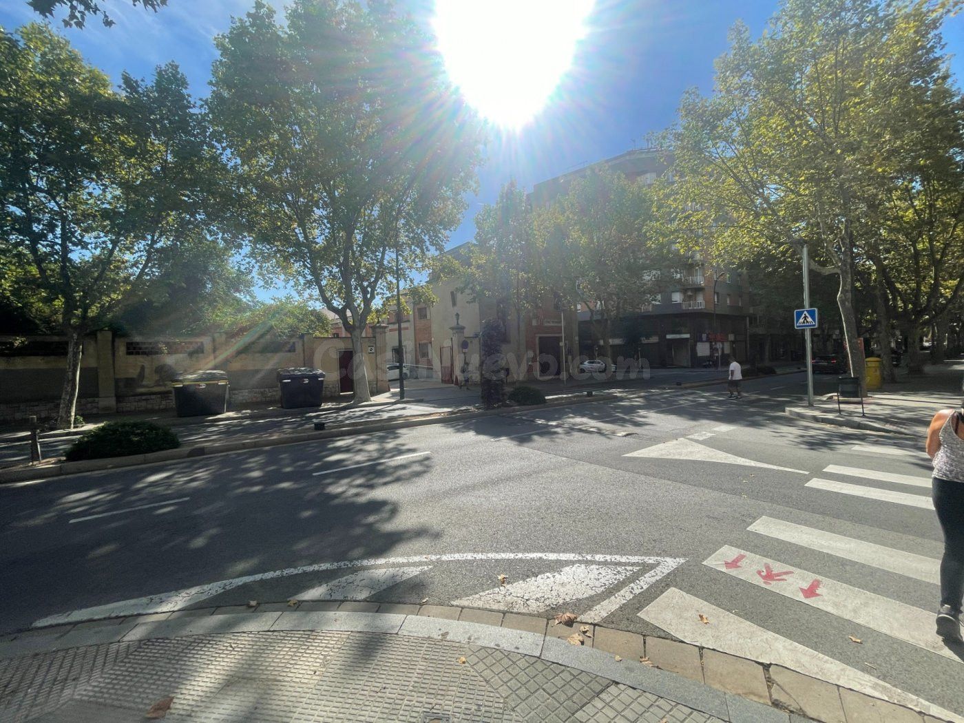 Local en zona paisos catalans