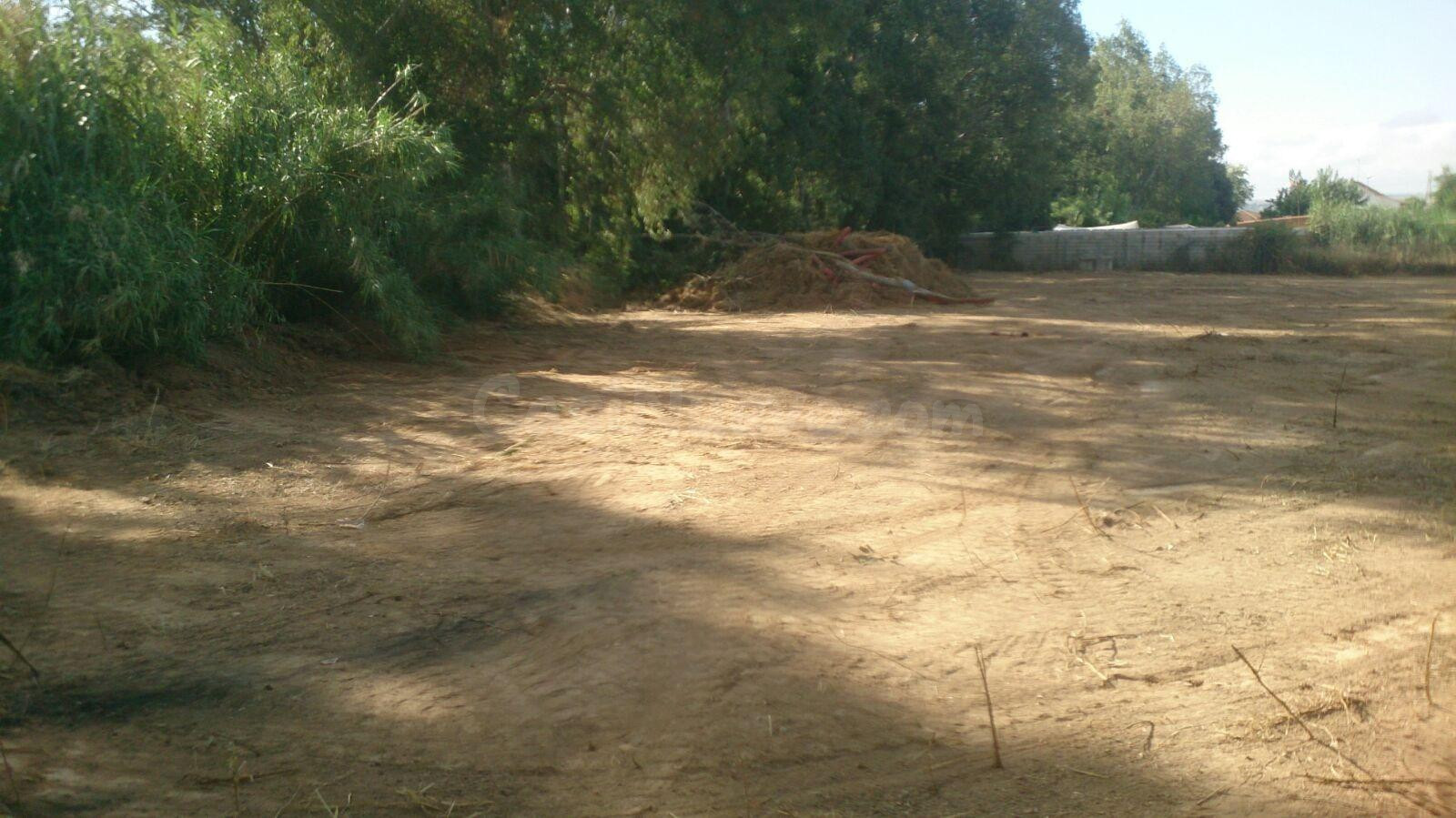 Oportunidad de Inversión en Parcelas: El Higuerón, Córdoba